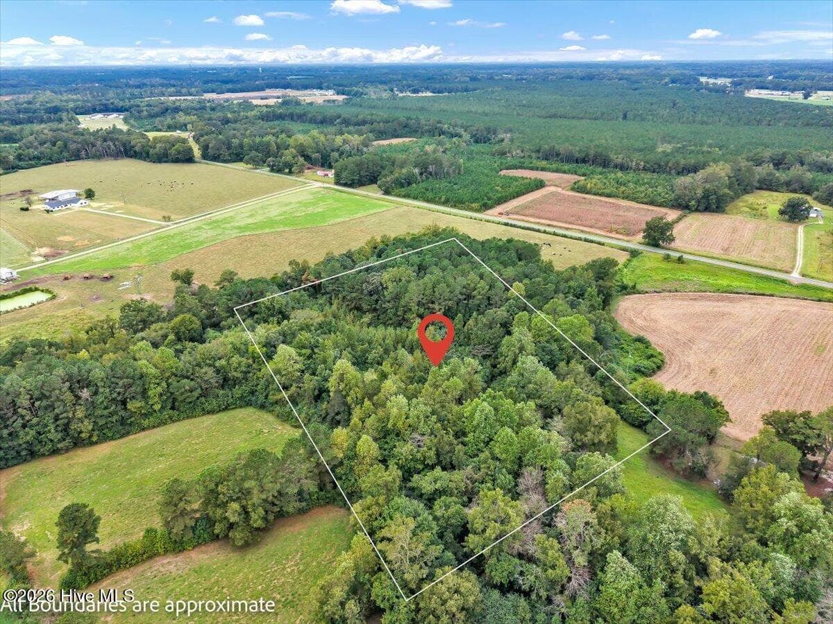 Undeveloped at 0 Dewitt Gooden Road, Elizabethtown, NC 28337, photo 5 of 8
