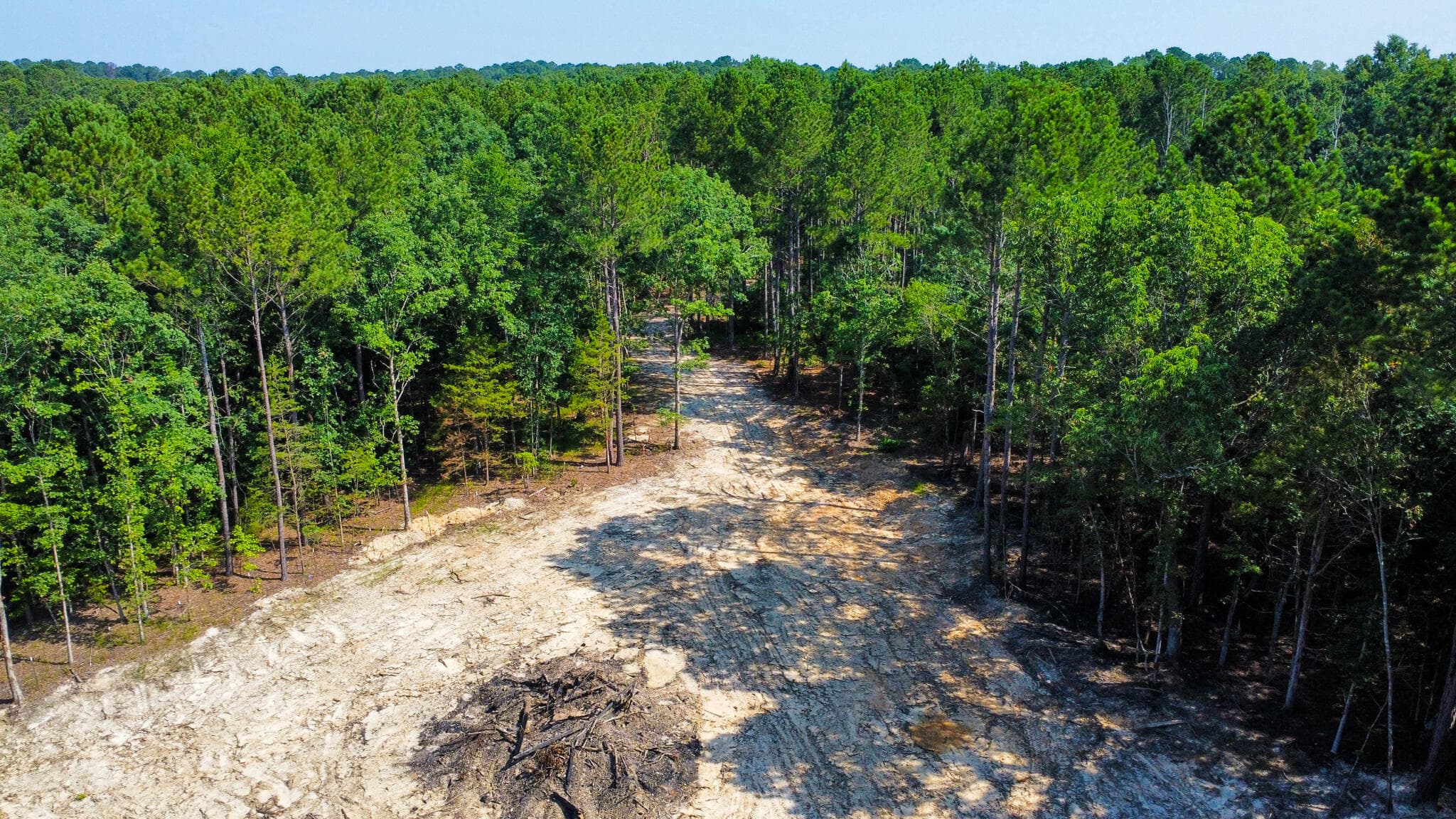 Undeveloped at 0 Backway Road, Lincolnton, GA 30817, photo 33 of 48