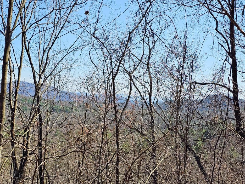 Lot 39 39 Merlin Trl / Warbler Road, Murphy, NC 28906