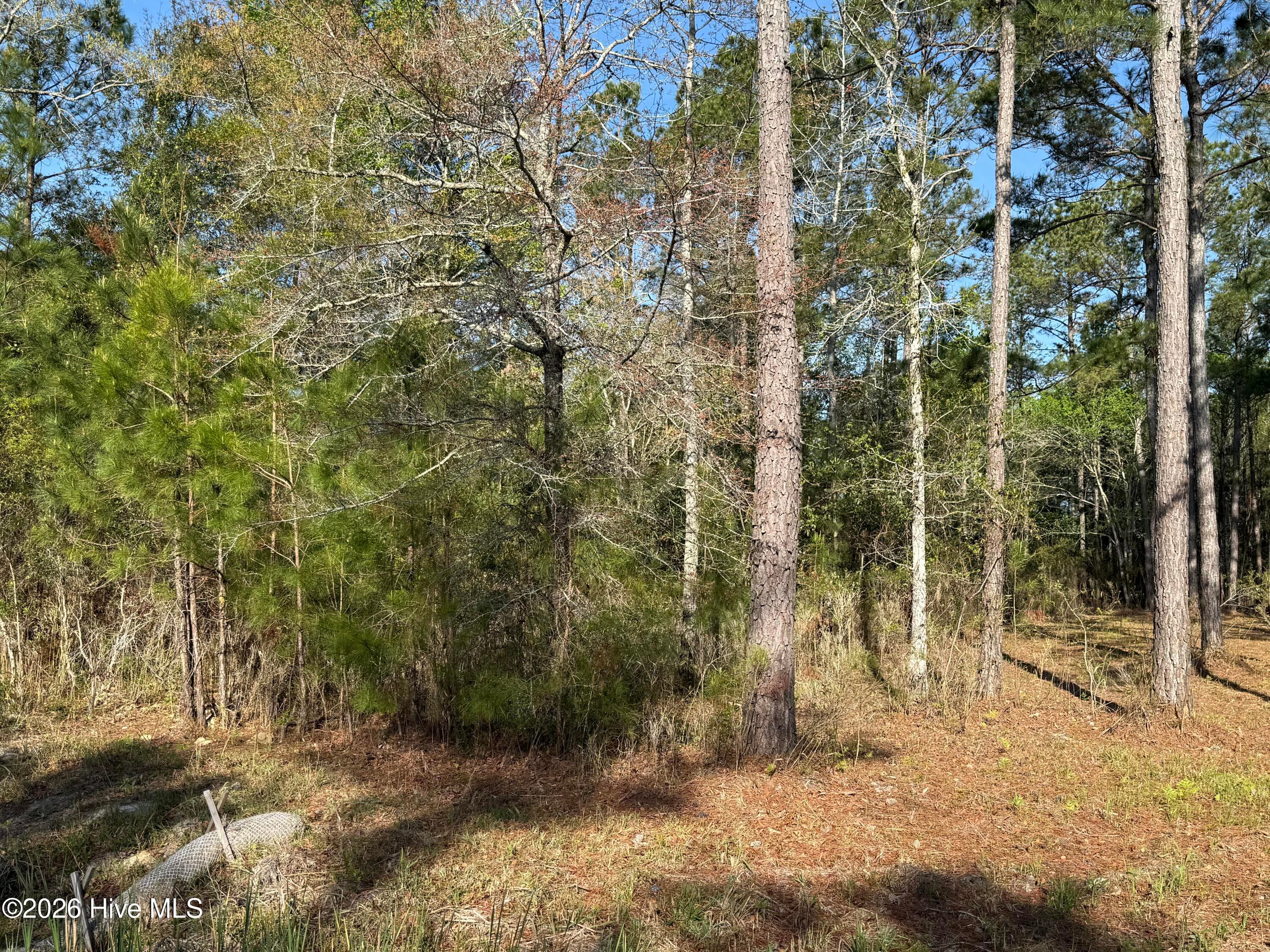 Residential Land at 125 14 Shell Castle Lane, Vandemere, NC 28587, photo 4 of 7