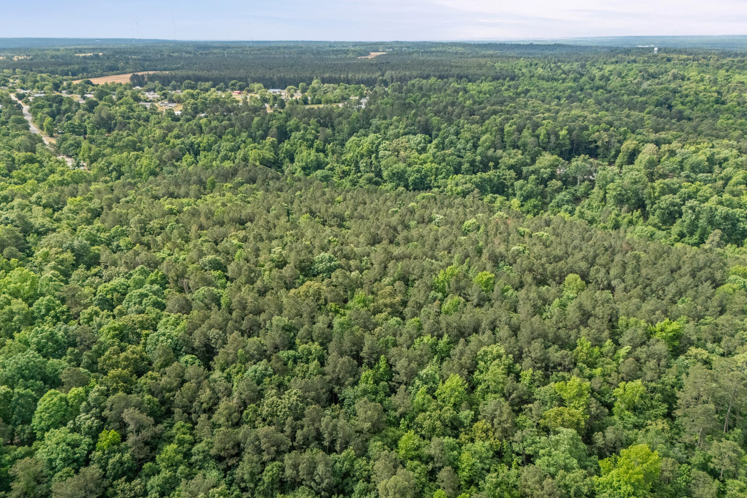 Agriculture at 0 Graystone Drive, Beech Island, SC 29842, photo 10 of 14
