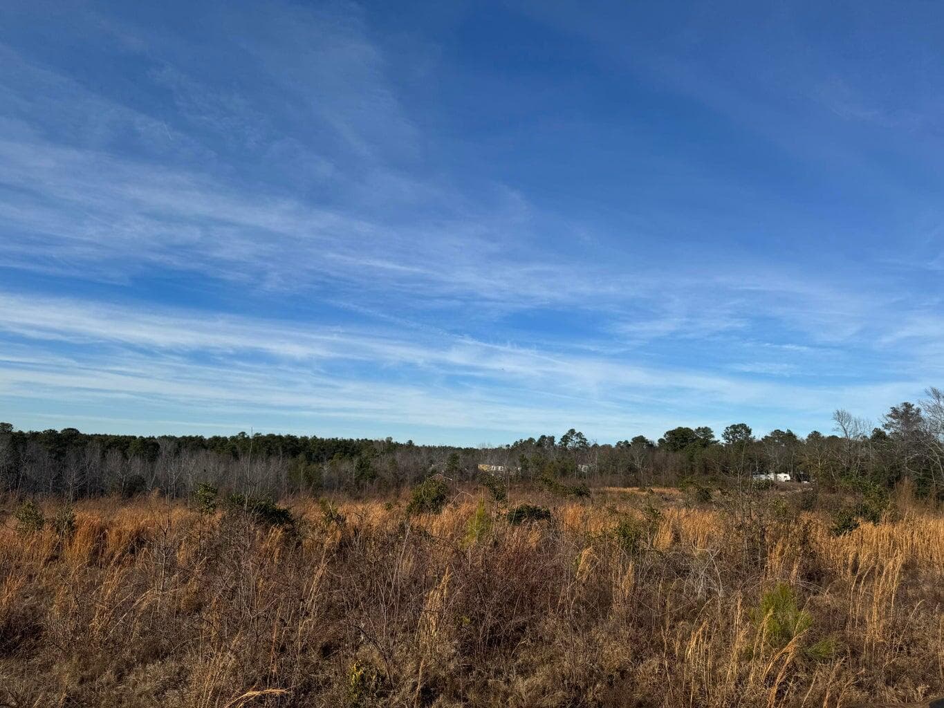 Undeveloped at 450 Bergen Road, North Augusta, SC 29860, photo 8 of 9