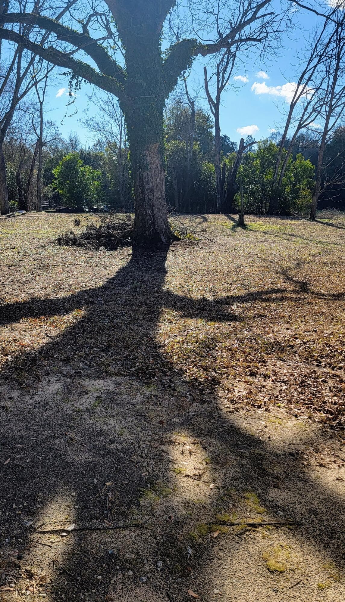 Residential Lot at 0 Old Waynesboro Road, Keysville, GA 30816, photo 8 of 10