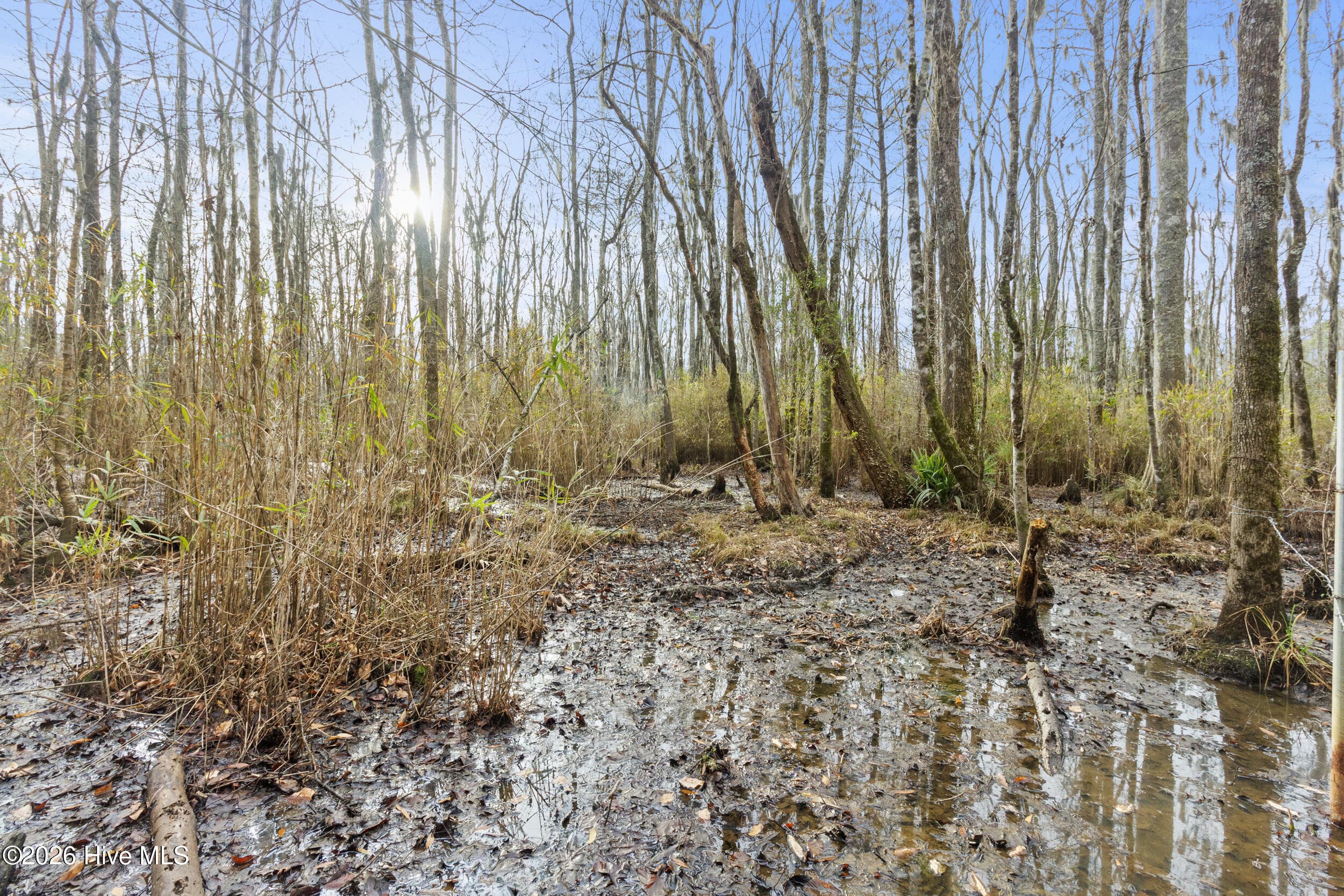Undeveloped at 2711 Old Airport Road, New Bern, NC 28562, photo 11 of 23