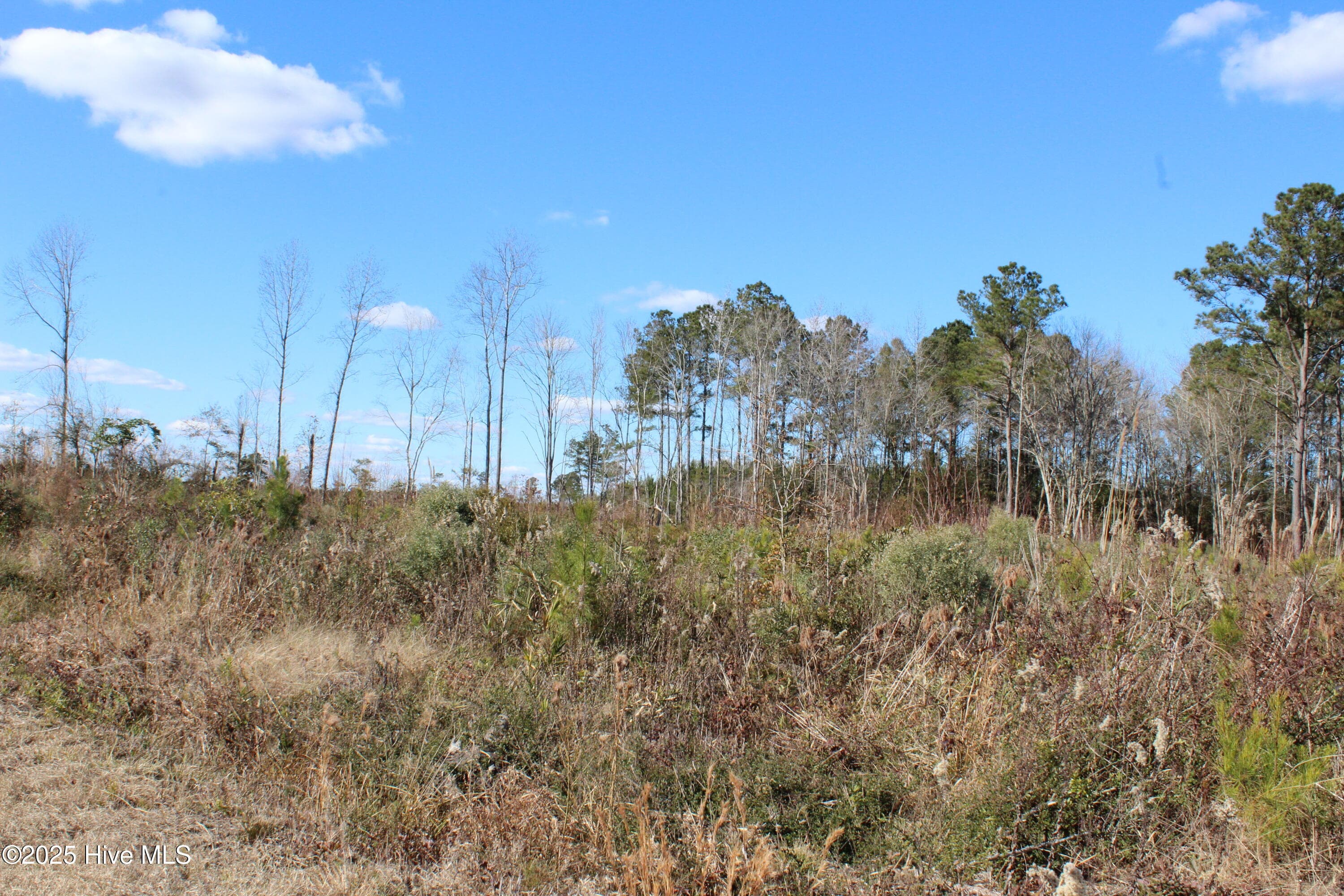 Undeveloped at Lot 1 Richlands Road, Trenton, NC 28585, photo 3 of 3