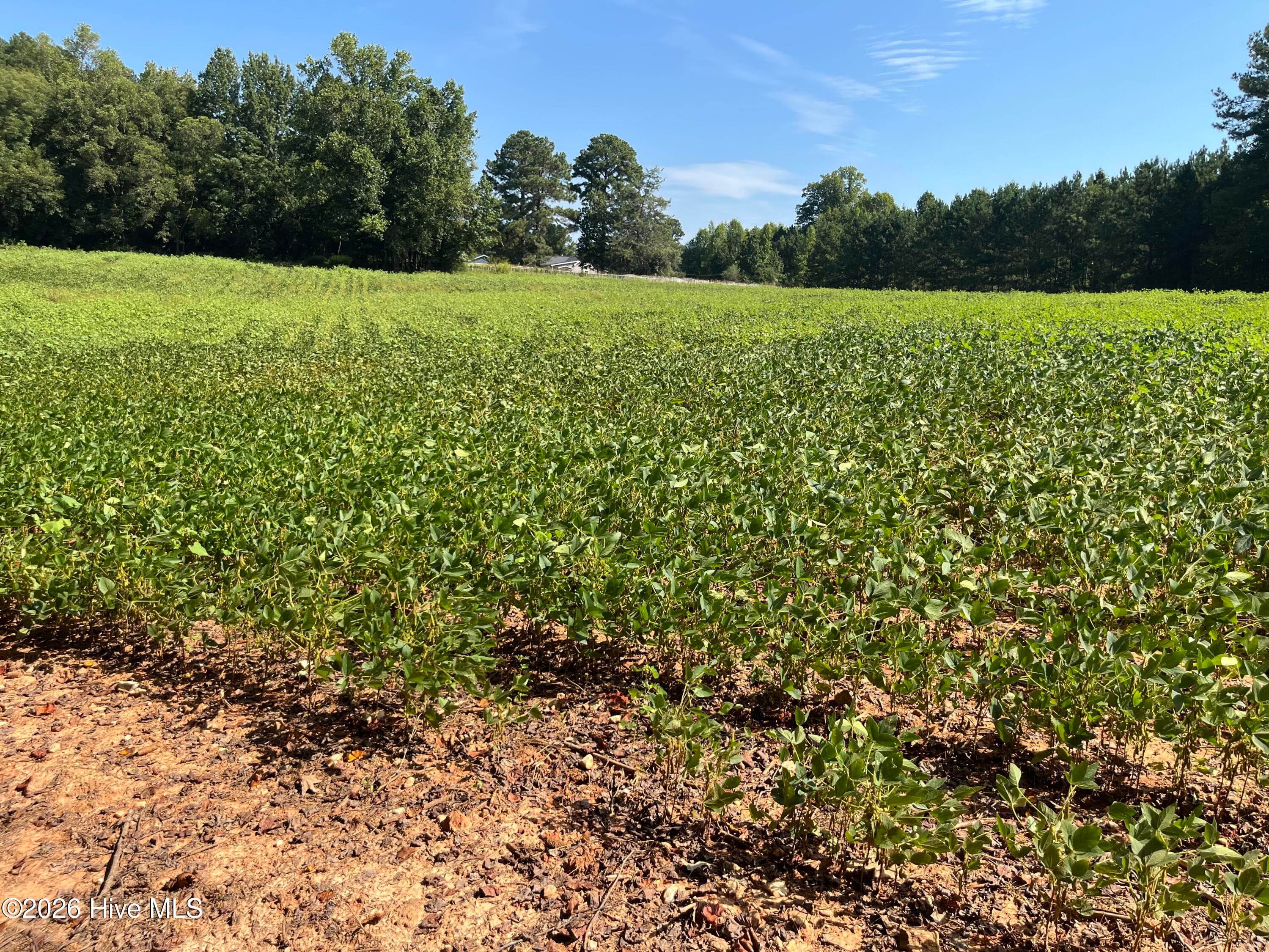 Undeveloped at 9011 Pleasant Grove Church Road, Spring Hope, NC 27882, photo 2 of 11