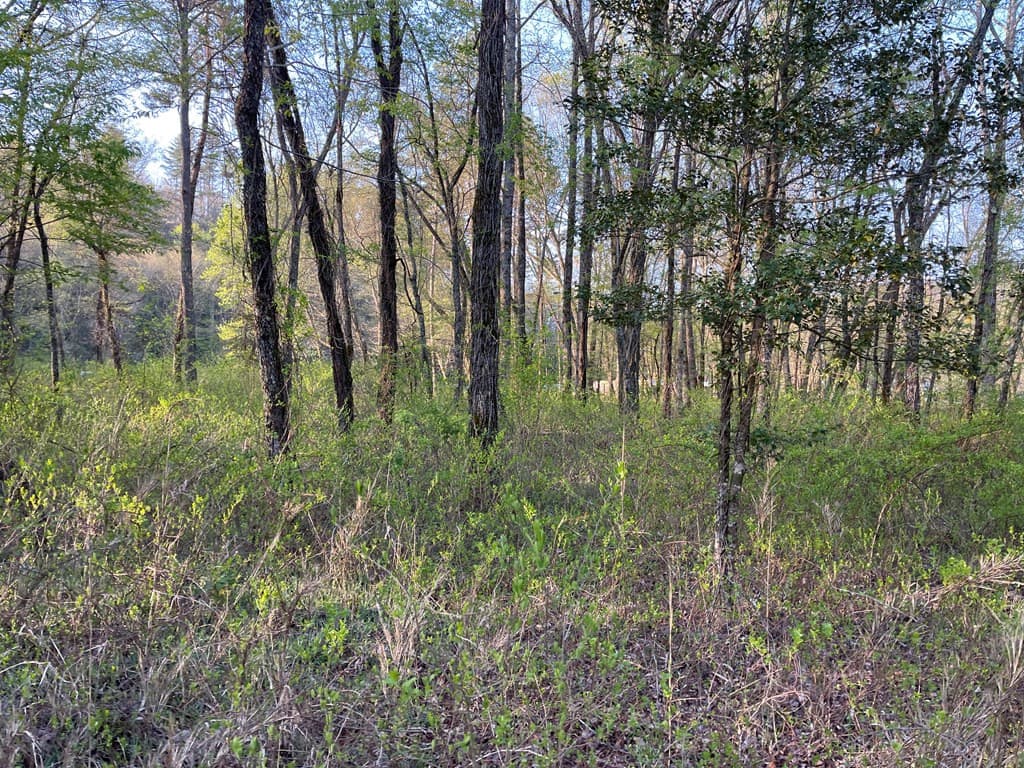 Residential Lot at 133 River Farm Drive, Murphy, NC 28906, photo 17 of 19