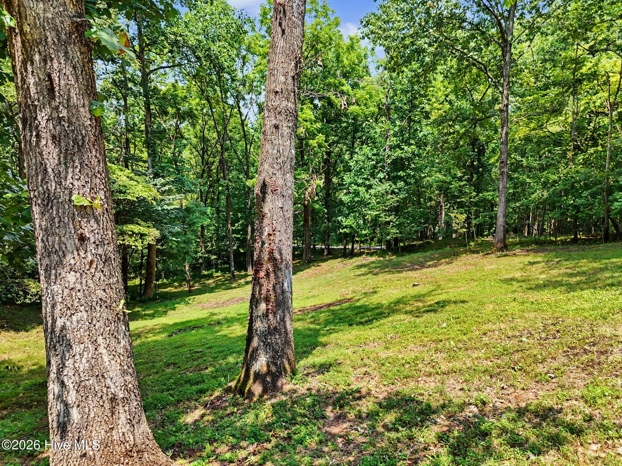 Nearly four wooded acres create a quiet, private mountain setting. - 210 Majestic Drive, Hayesville, NC 28904