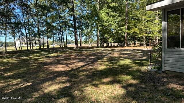 Front Wooded Lot - 60 Harrell Lane, Eure, NC 27935