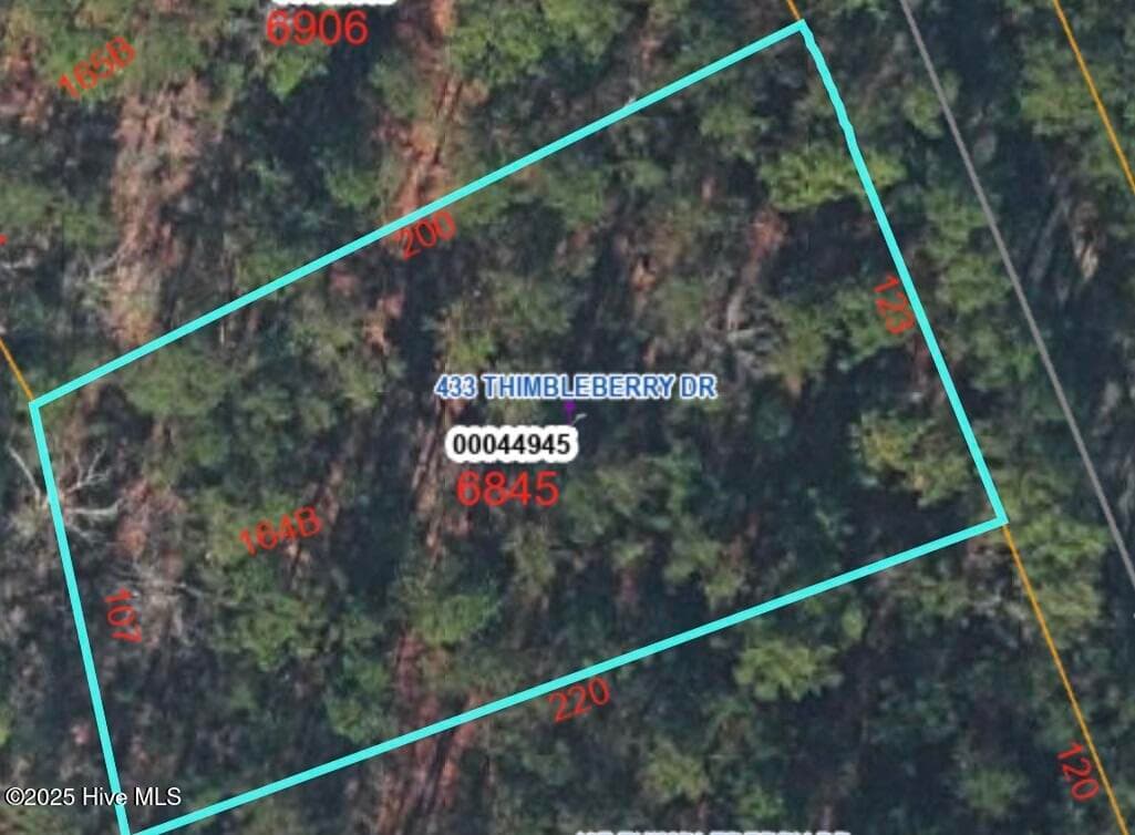 433 Thimbleberry Drive, Vass, NC 28394
