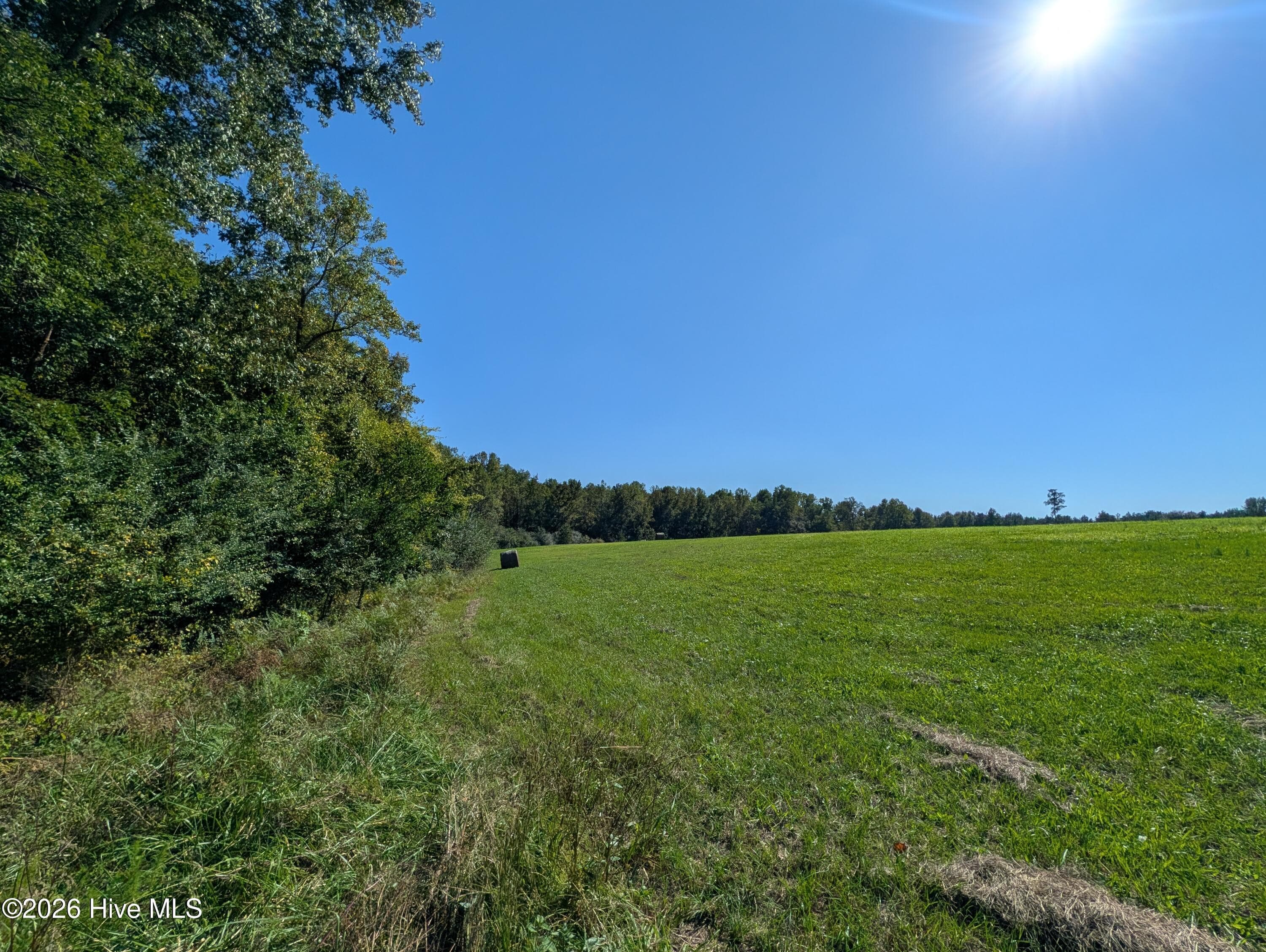 Undeveloped at Tbd County Line Road, Ellerbe, NC 28338, photo 3 of 7
