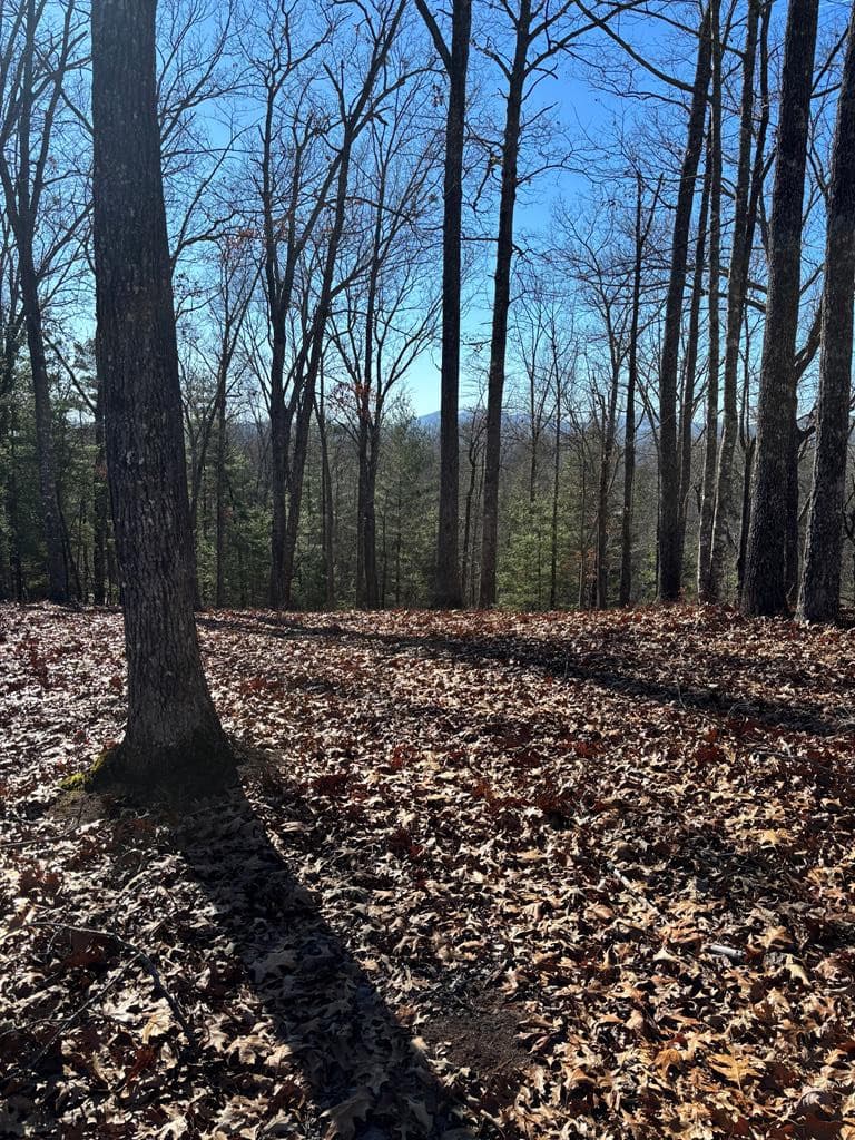 Lot 64 64 Thundering Hill, Murphy, NC 28906