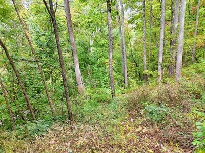 Residential Lot at Lot 21 21 Skyview, Hayesville, NC 28904, Hayesville, photo 6 of 15