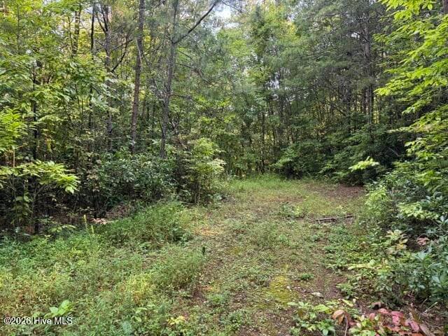 Residential Lot at 3 Tyler Lane, Marble, NC 28905, photo 2 of 3