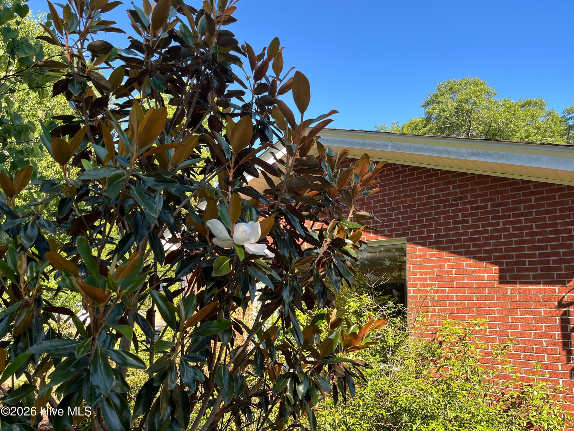 Single Family Residence at 320 Northern Boulevard, Wilmington, NC 28401, photo 147 of 159