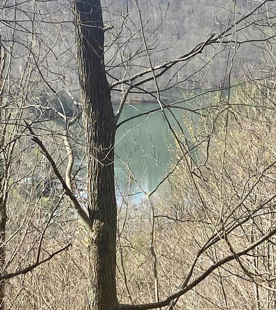 Land at 26 Hidden Falls Trail, Robbinsville, NC 28771