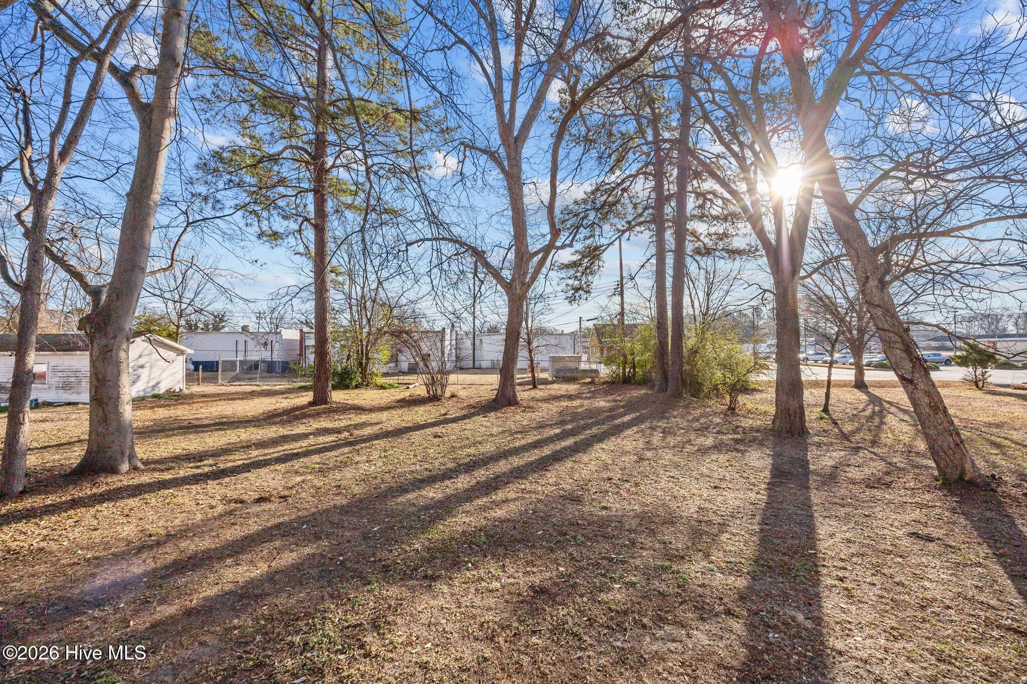 back yard - 809 Church Street, Scotland Neck, NC 27874