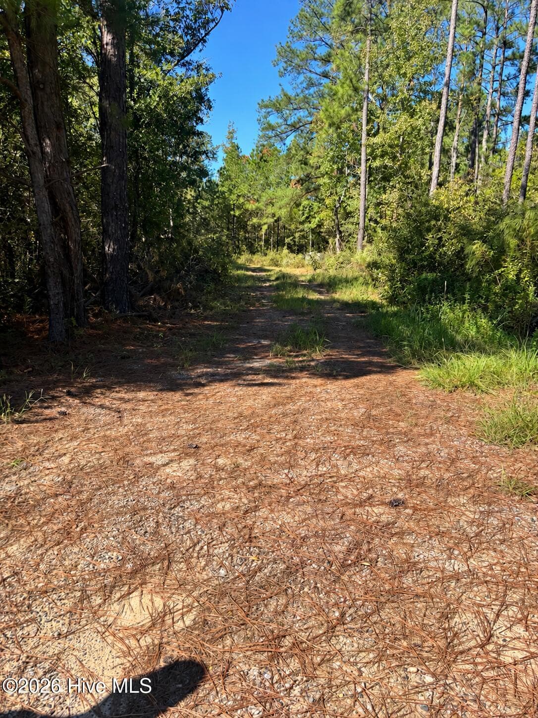 3245 10 Ga Highway 88, Blythe, GA 30805
