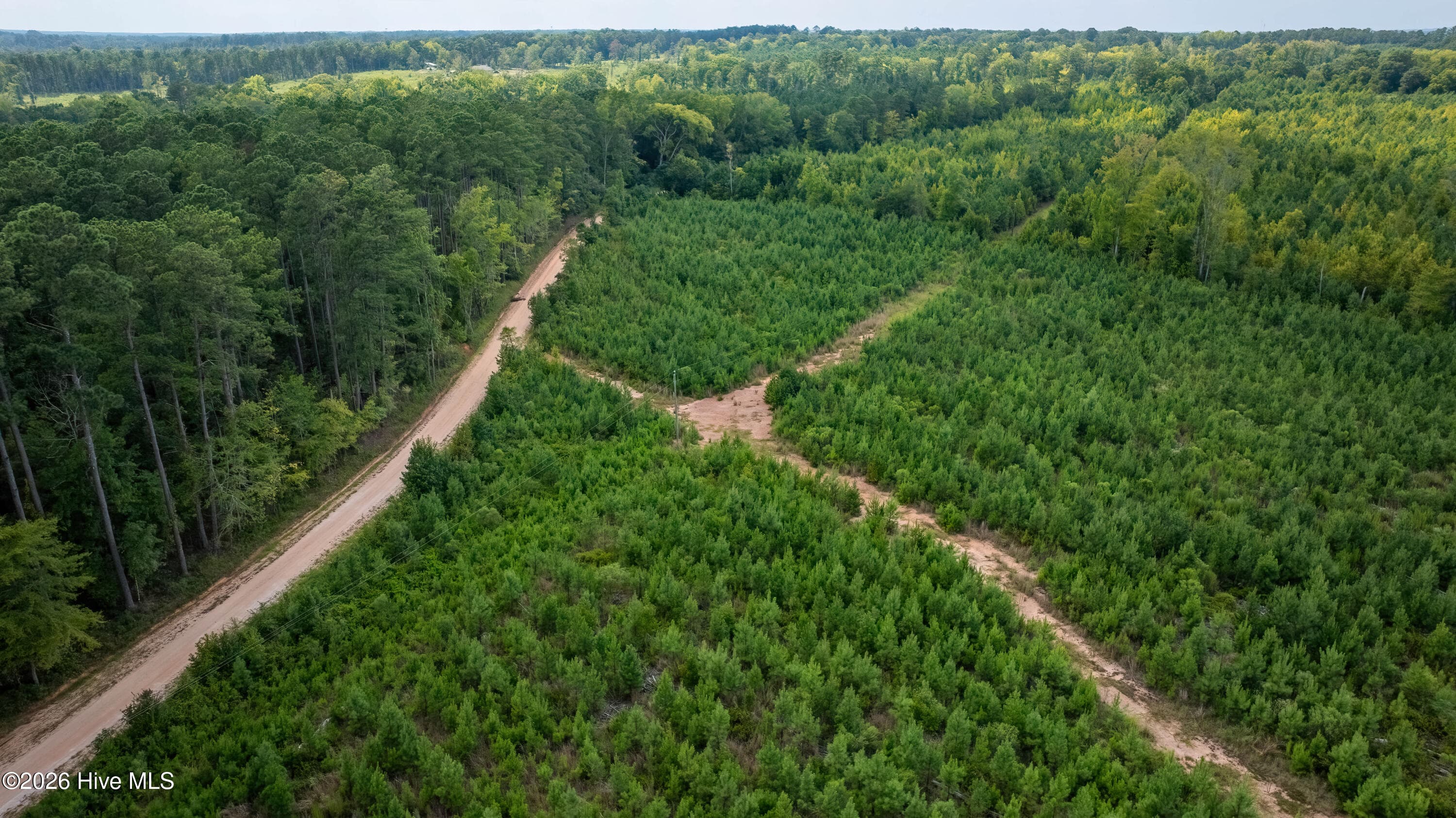 Residential Lot at Lot 2 Union Church Road, Thomson, GA 30824, photo 5 of 6