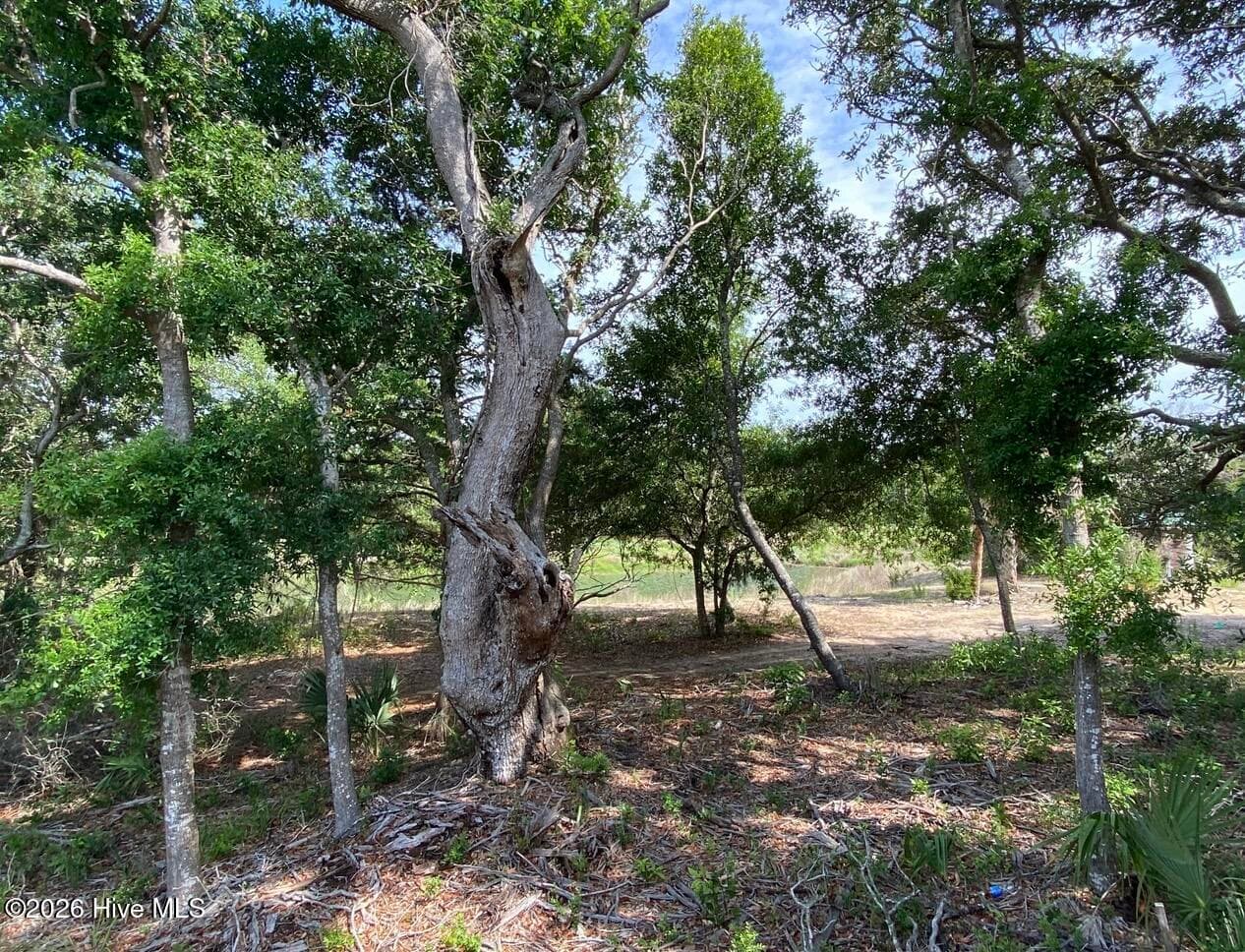 17 949 Sandwich Tern Trail, Bald Head Island, NC 28461