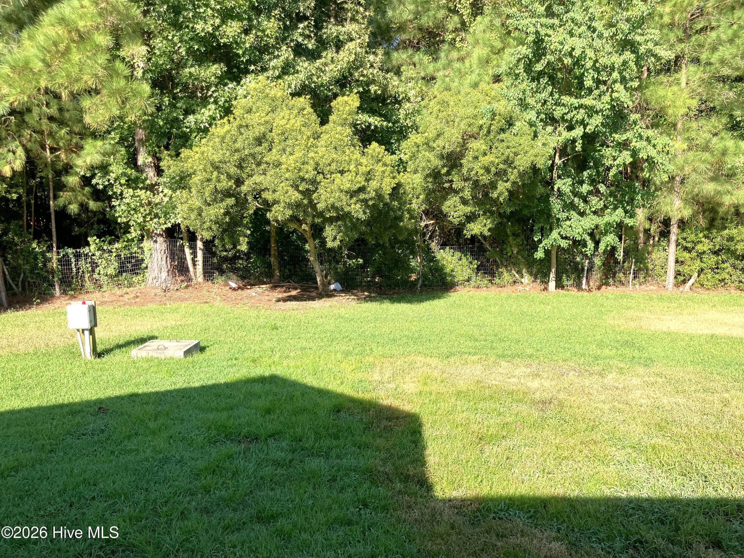 Backyard - 249 Bishop Drive, Jacksonville, NC 28540