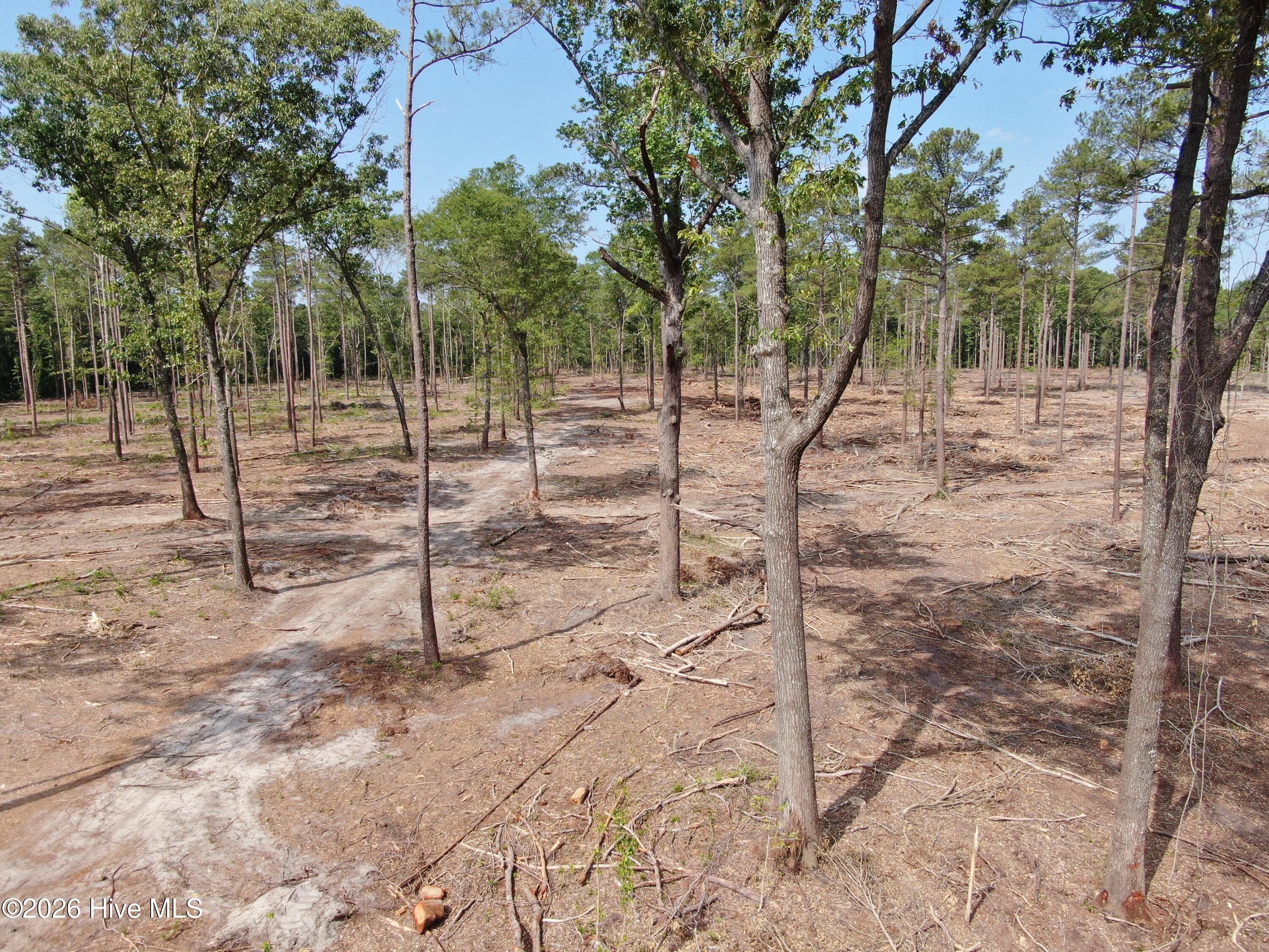 Undeveloped at Tbd Donna Drive, Laurinburg, NC 28352, photo 5 of 7