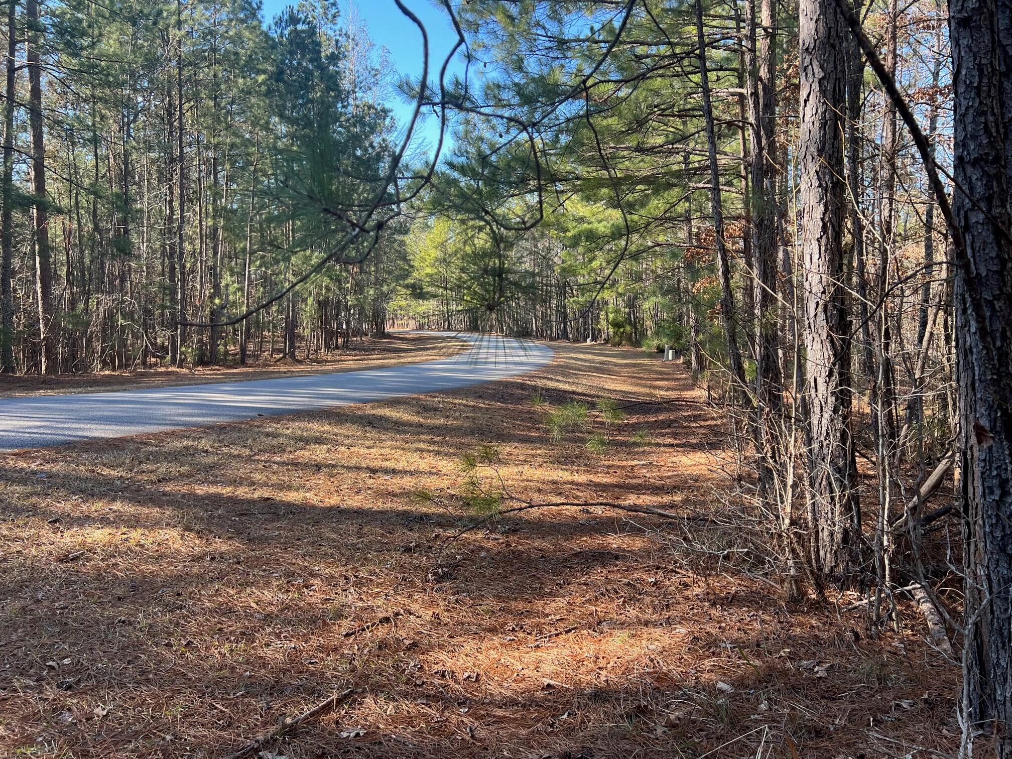 Residential Lot at 24-17 Madison Dr. Drive, McCormick, SC 29835, photo 6 of 6