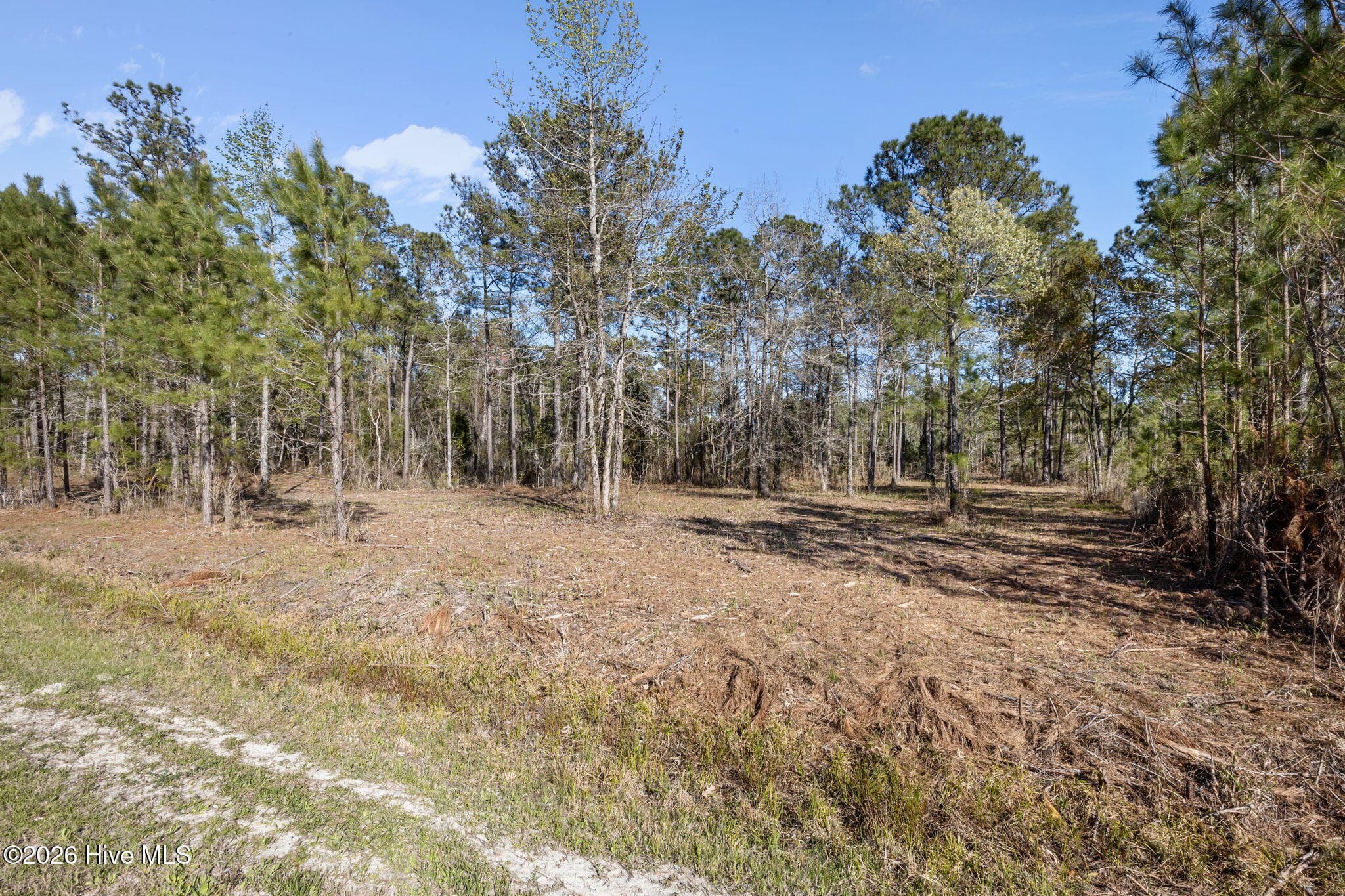 128 32 Shell Castle Lane, Vandemere, NC 28587