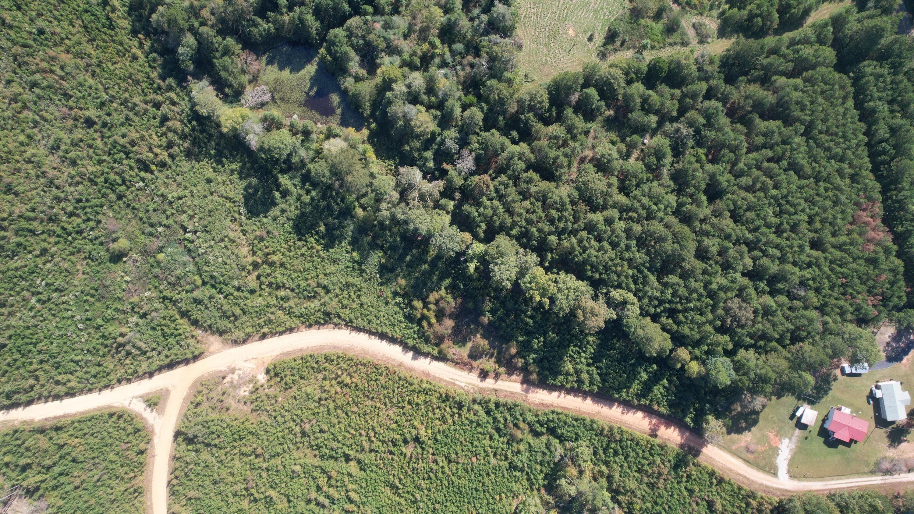 Agriculture at 00 Moores Drive, Edgefield, SC 29824, photo 14 of 14