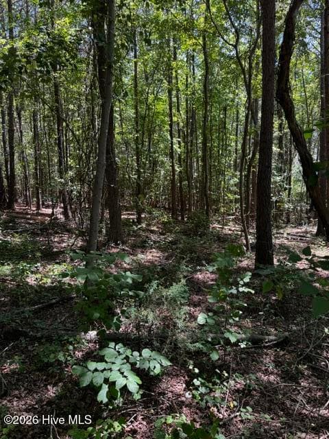 Undeveloped at Lot 1 Dan Road, Robbins, NC 27325, photo 21 of 22