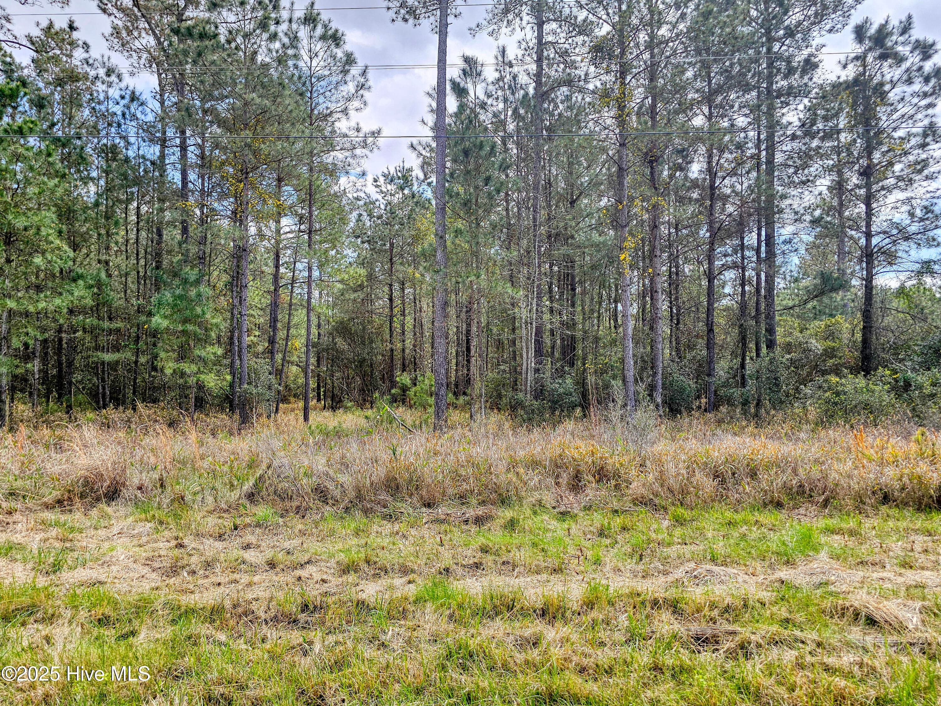Residential Land at 20 20 Sandy Point Road, Scranton, NC 27875, photo 5 of 6