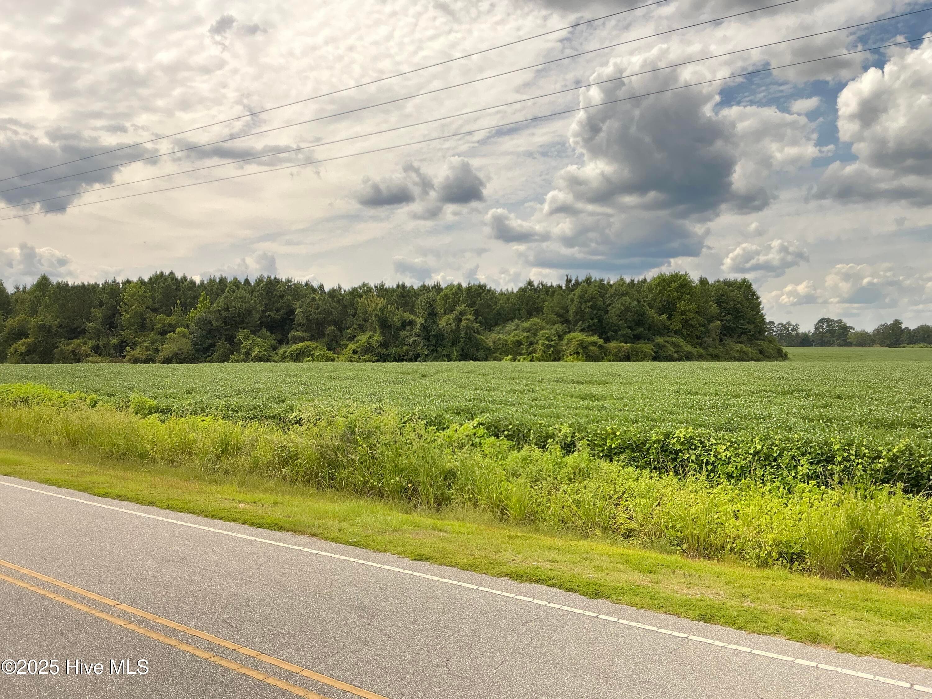 Farm at 2100 Golf Course Road, Whiteville, NC 28472, photo 5 of 10