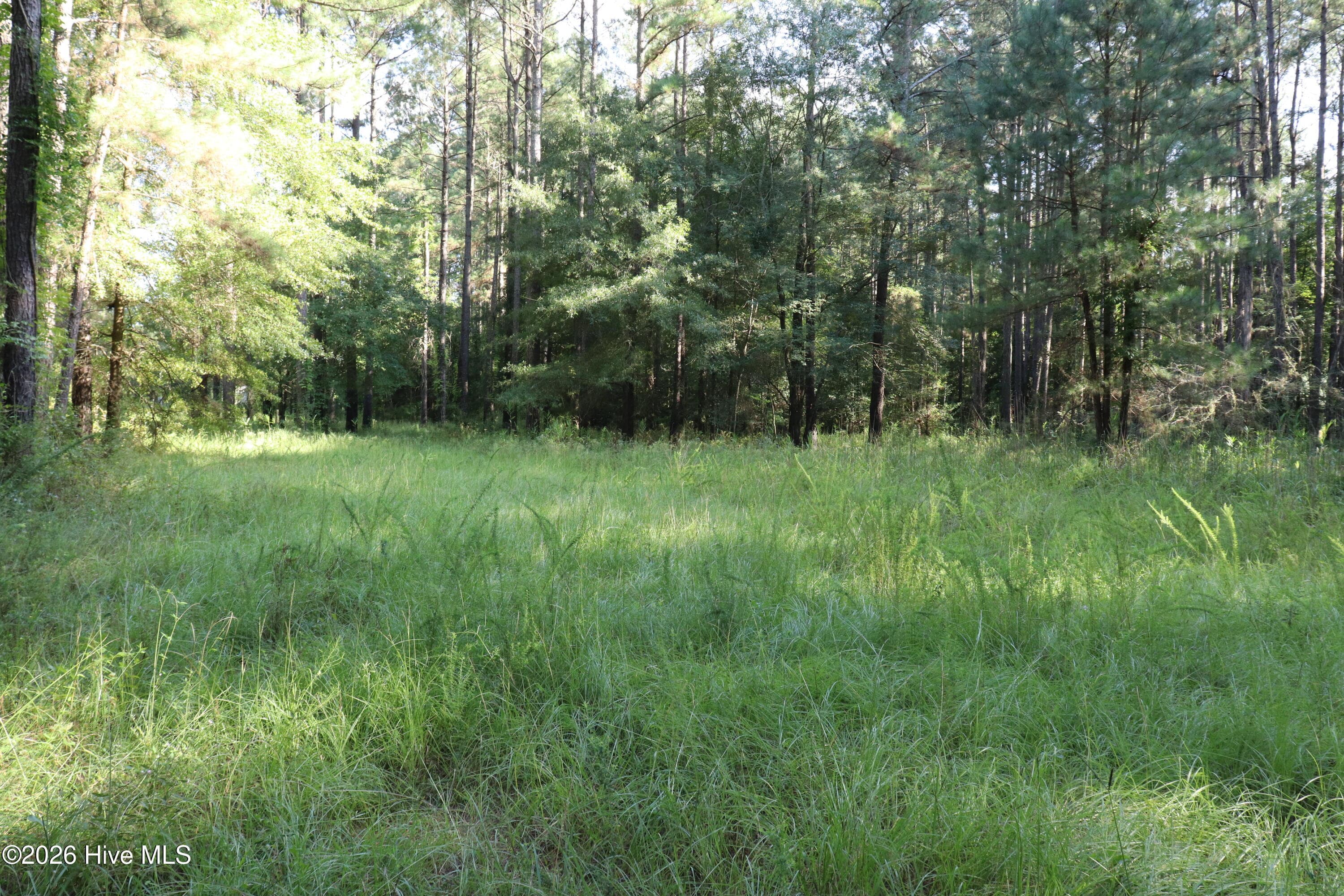 Cleared area within lot - Tbd 14 & 15 River Haven Lane, Harrells, NC 28444