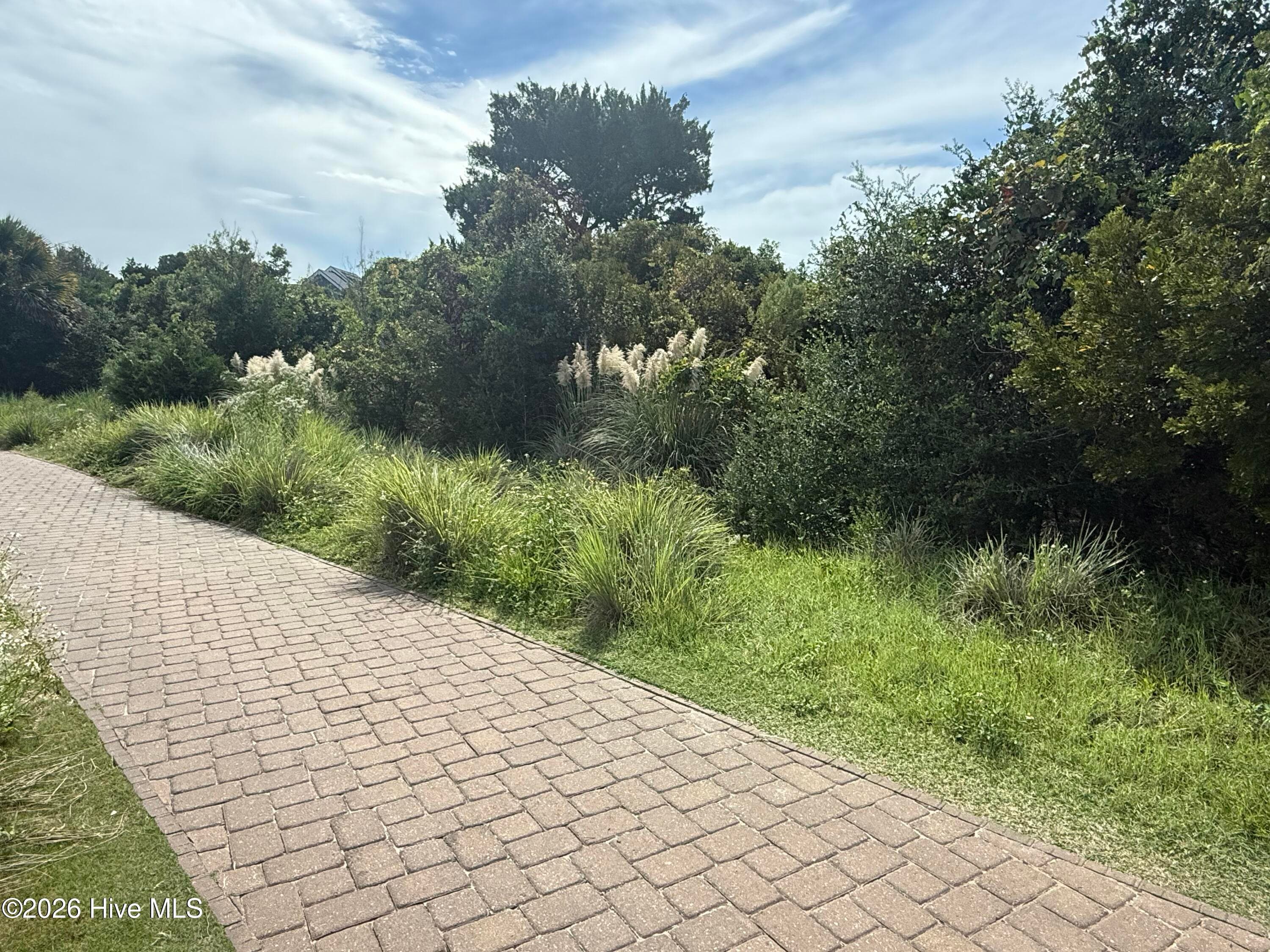Residential Lot at 637 637 Royal Tern Court, Bald Head Island, NC 28461, photo 7 of 9