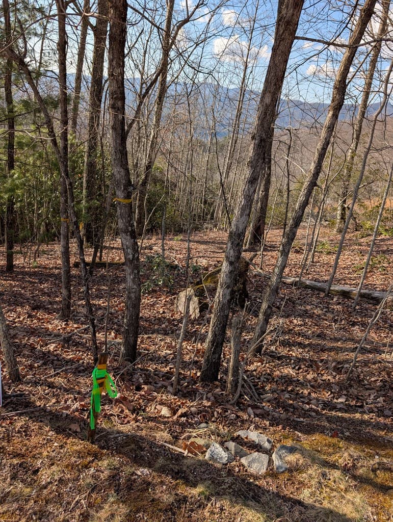Residential Lot at L-16&17 16 & 17 Summit Drive, Hayesville, NC 28904, Hayesville, photo 24 of 30