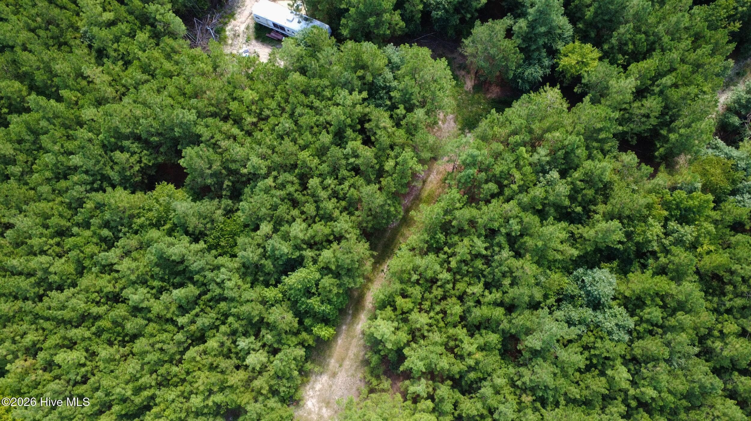 Undeveloped at 239 16 Lick Creek Road, Carthage, NC 28327, photo 6 of 12