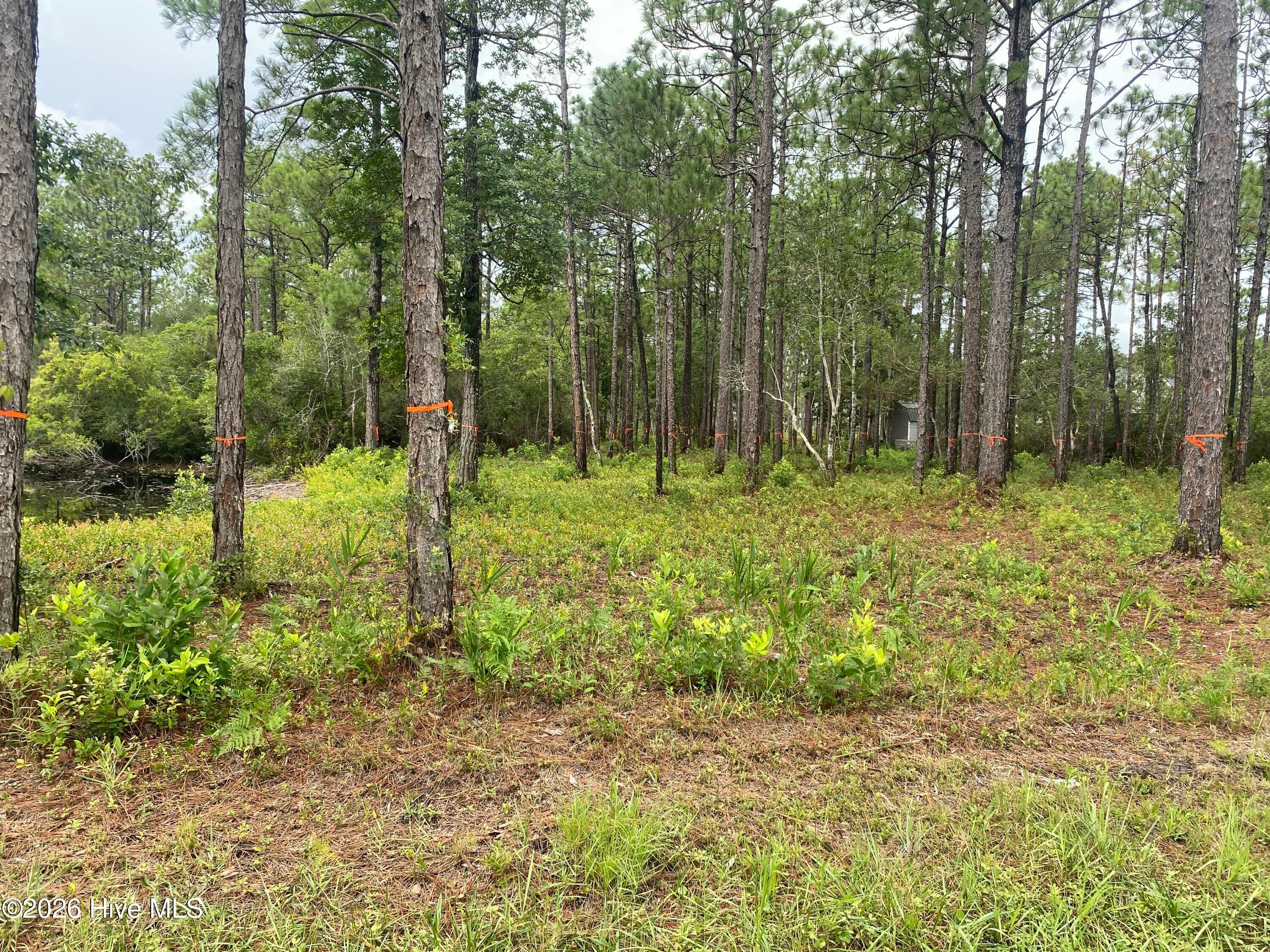 Residential Lot at 120 Dixon Road, Boiling Spring Lakes, NC 28461, photo 3 of 4