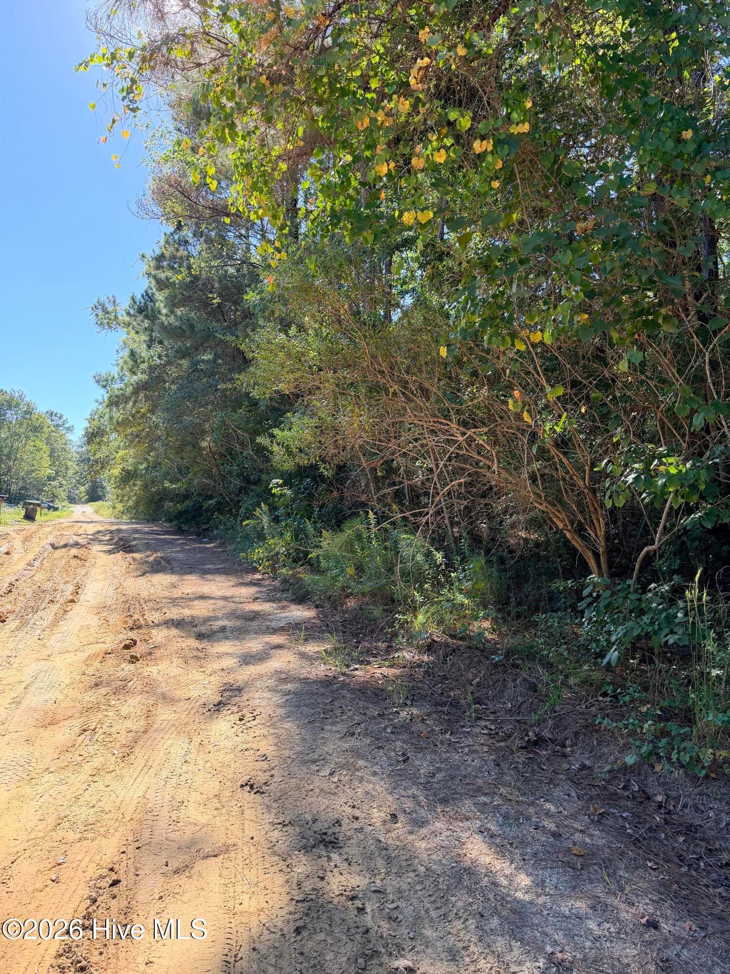 Undeveloped at Tbd Eastwind Drive SW, Supply, NC 28462, photo 5 of 5