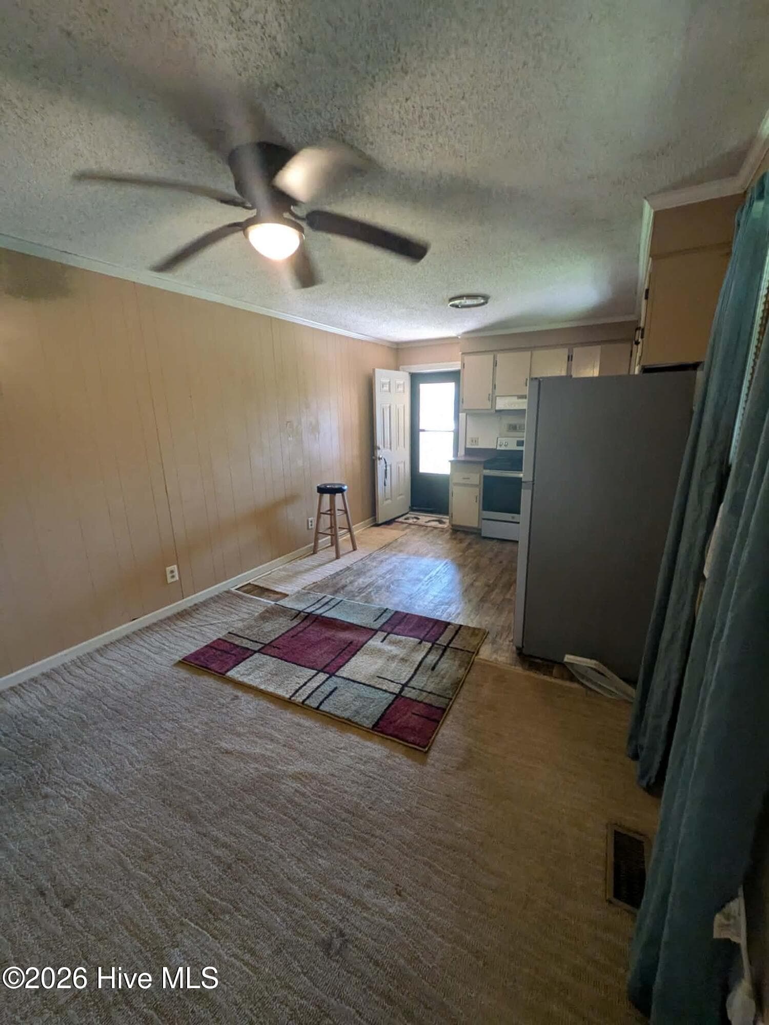 Single Family Residence at 216 E Troy Street E, Ahoskie, NC 27910, photo 7 of 32