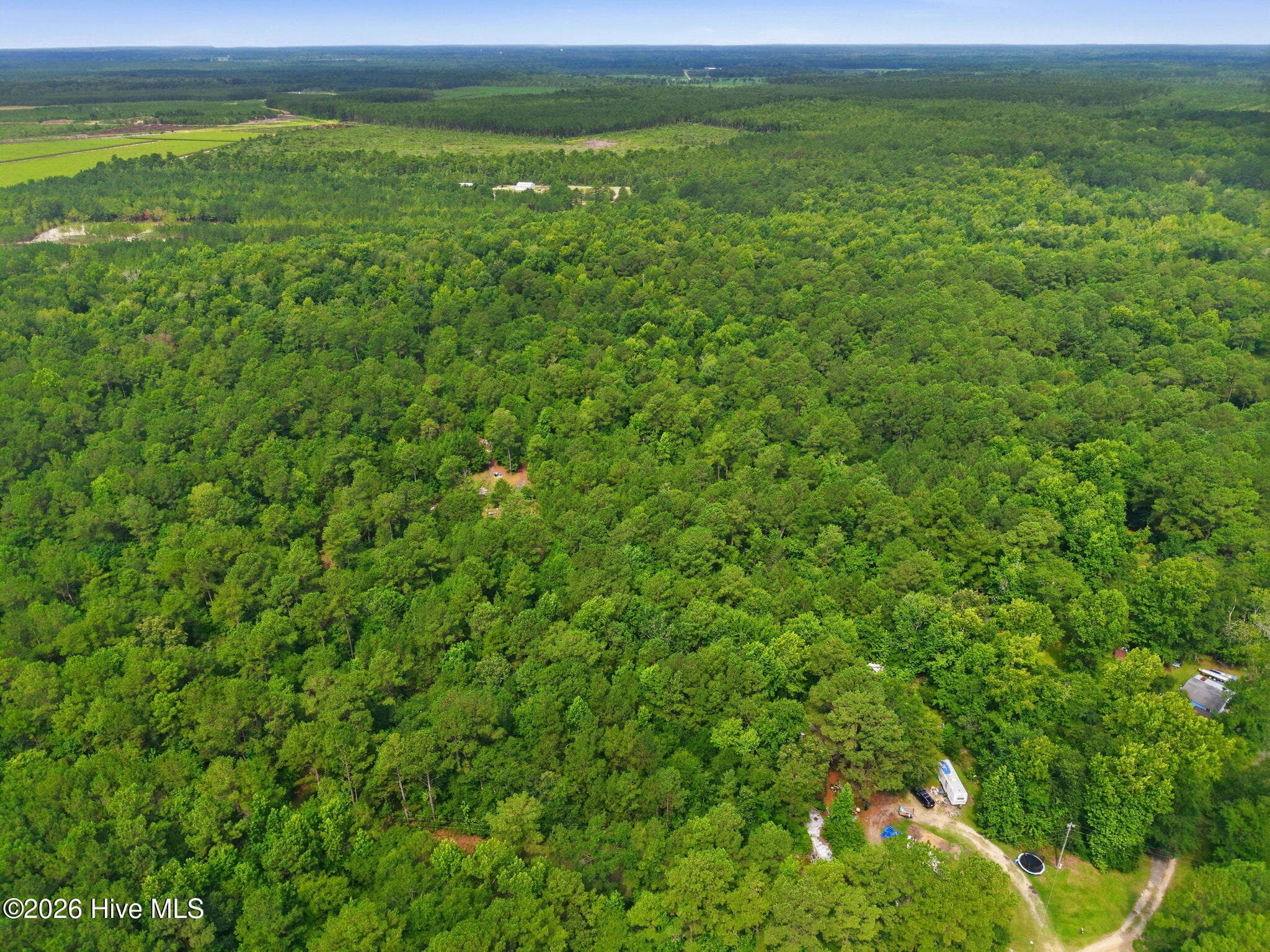 Undeveloped at 0 Copperhead Lane, Burgaw, NC 28425, photo 13 of 24