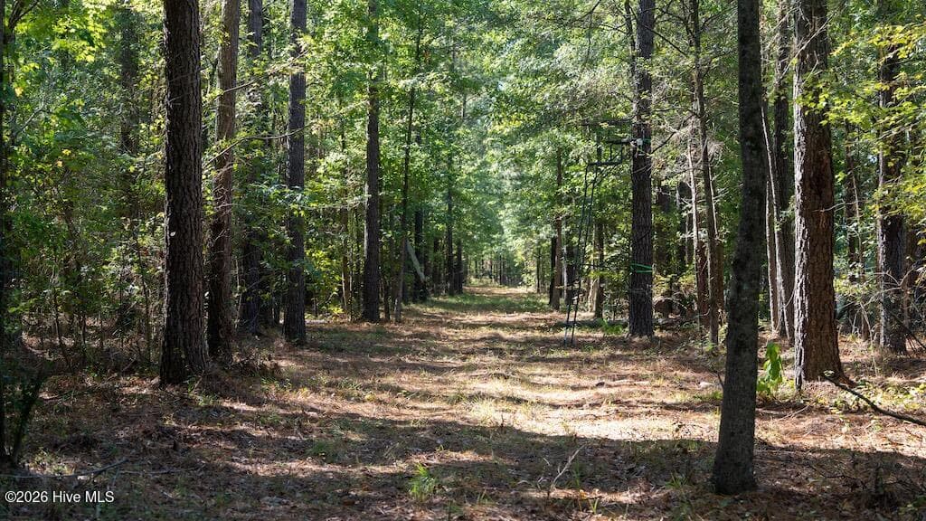 Mixed Use at 0 Spring Hill Road, Scotland Neck, NC 27874, photo 59 of 93