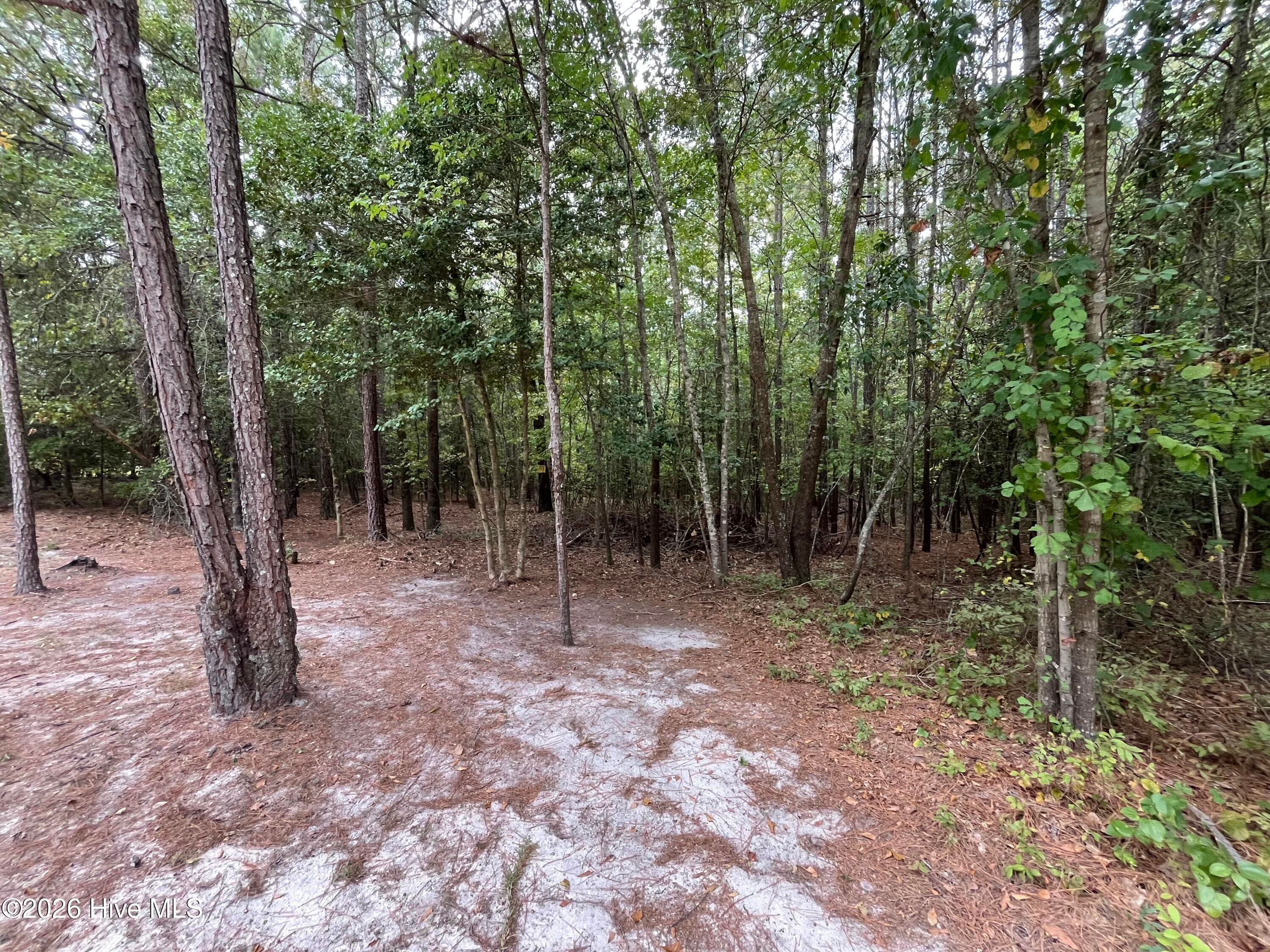 Residential Lot at 410 5 Bingham Street, Carthage, NC 28327, photo 5 of 10