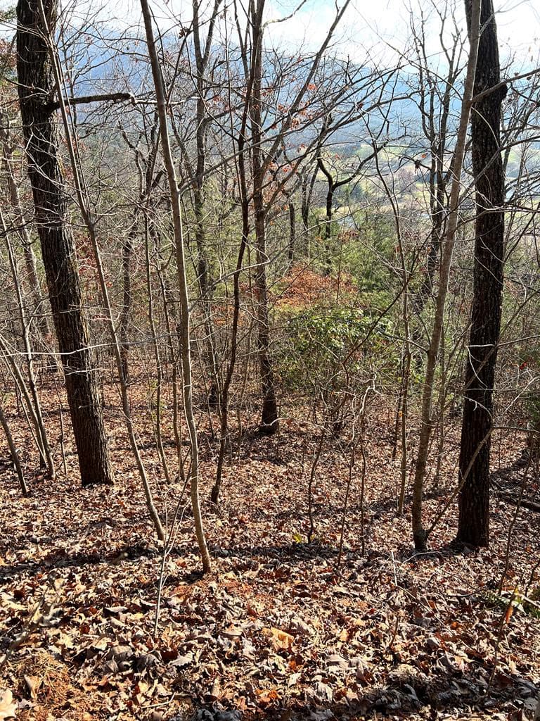 Lot 56c 56C Indian Trail, Hayesville, NC 28904
