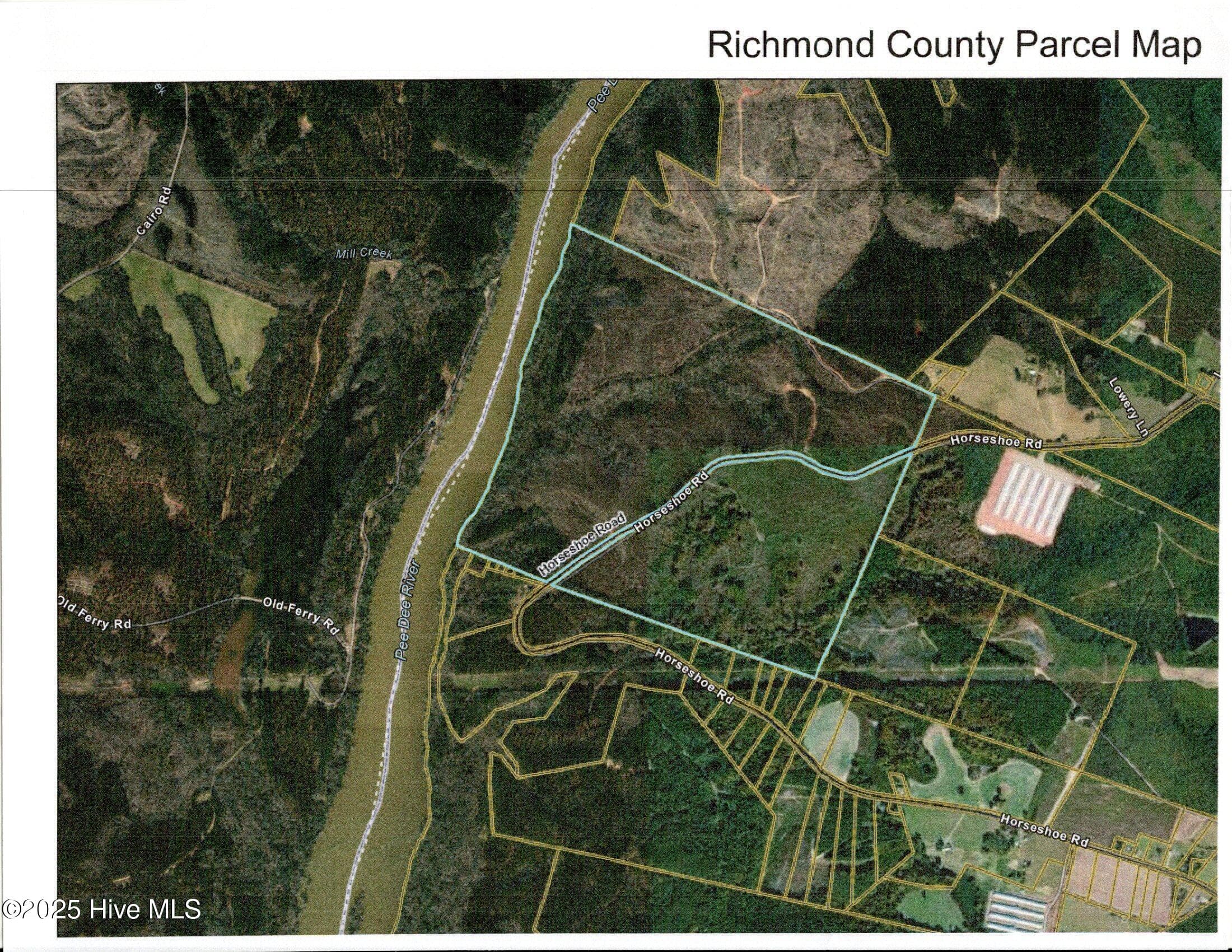 Blue outlined area is site - 355.7 Horseshoe Road, Rockingham, NC 28379