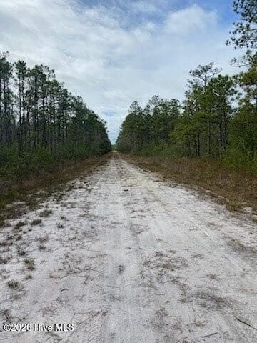 Residential Lot at 743 & 744 743&744&745 Gibralter Road, Boiling Spring Lakes, NC 28461, photo 3 of 4
