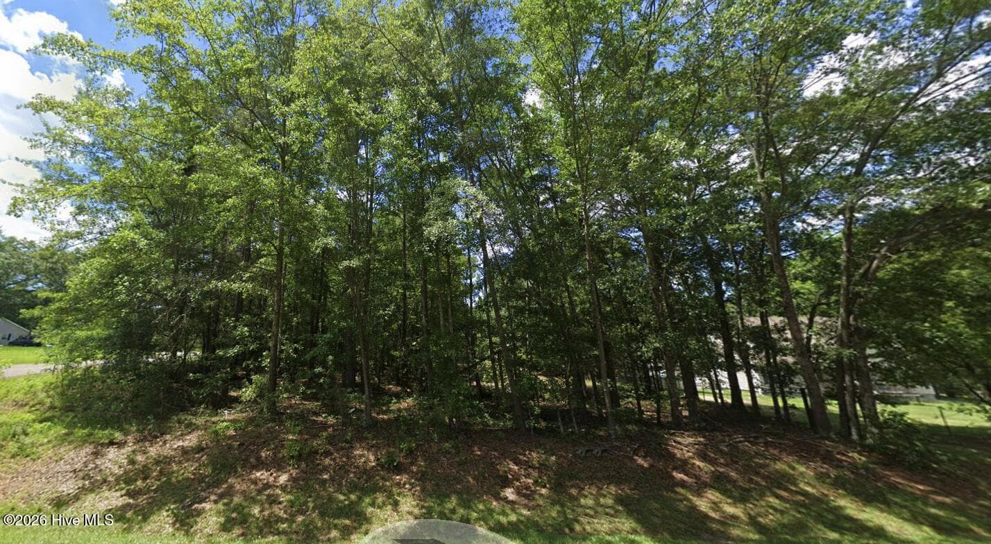 Undeveloped at 00 Ravenwood Road, Rockingham, NC 28379, photo 2 of 4
