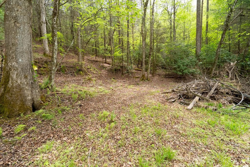 Wooded at 125 Milk And Honey Drive, Murphy, NC 28902, photo 15 of 23