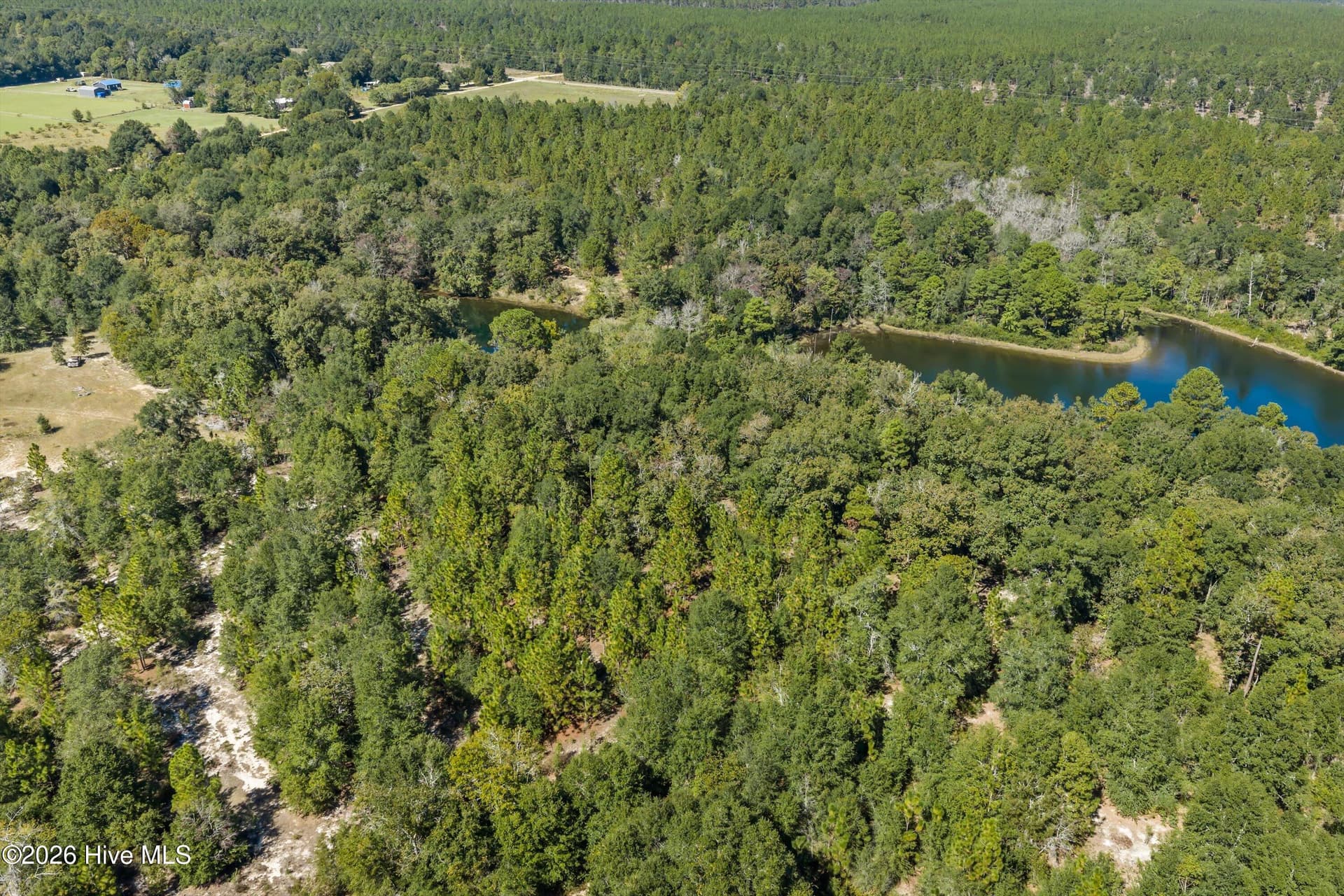 Residential Lot at 000.0 Mary Rawls Road, Wagener, SC 29164, photo 20 of 21