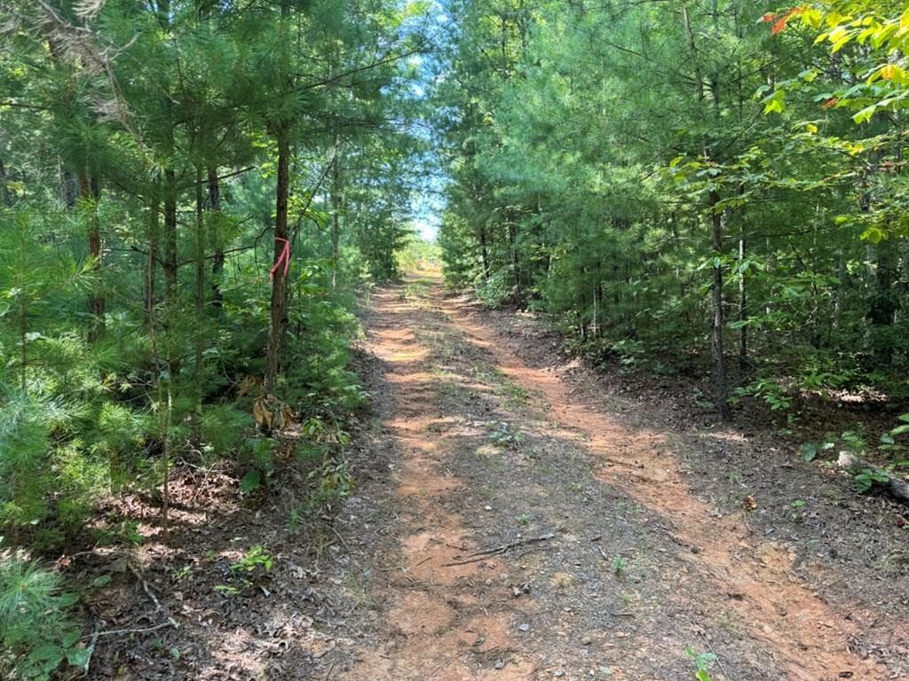 Lot 6&7 6&7 Donley Road, Murphy, NC 28906