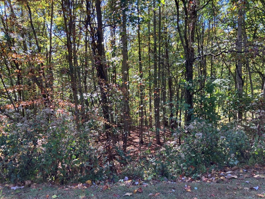28/29 28/29 Sanctuary Drive, Murphy, NC 28906